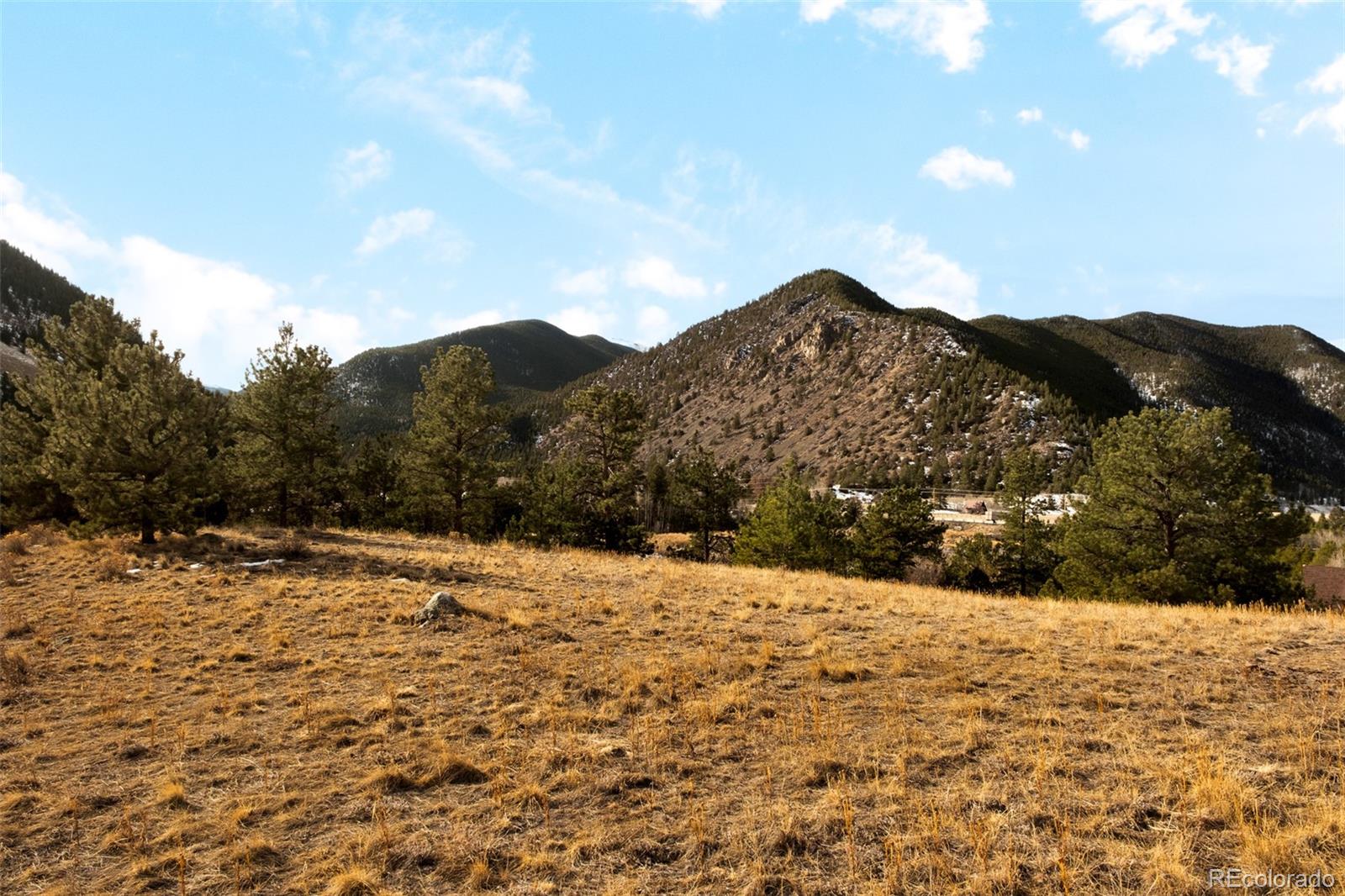 MLS Image #21 for 72 s ball street,empire, Colorado