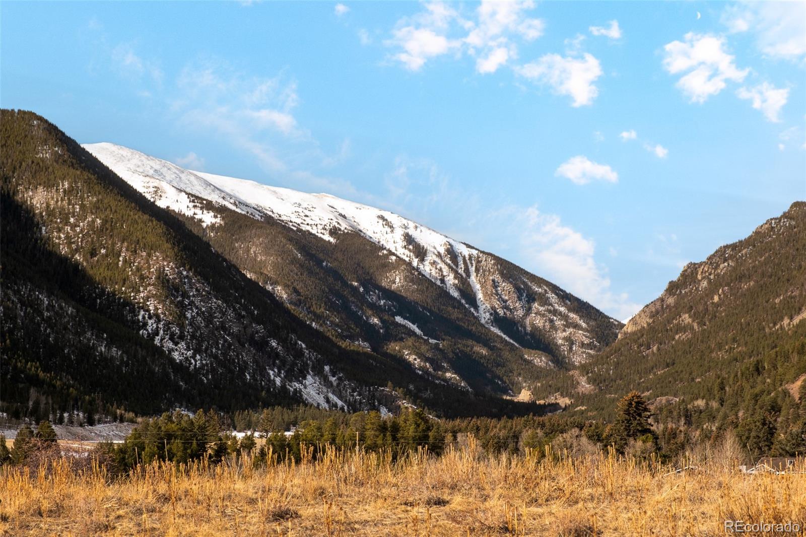 MLS Image #22 for 72 s ball street,empire, Colorado