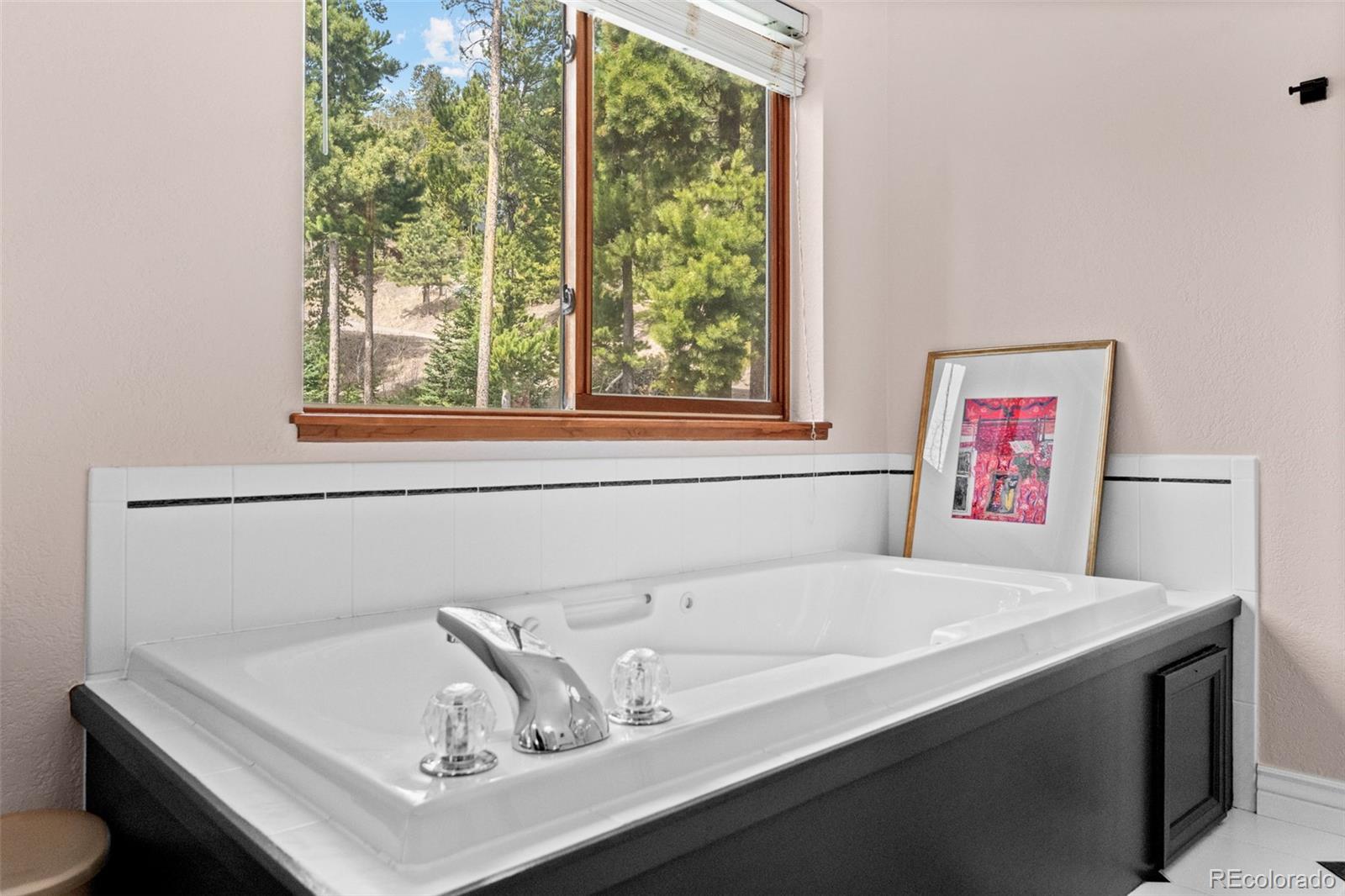 MLS Image #27 for 330  lodgepole drive,evergreen, Colorado