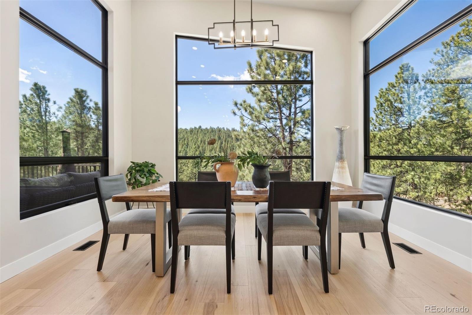 MLS Image #18 for 28248  lone elk trail,evergreen, Colorado