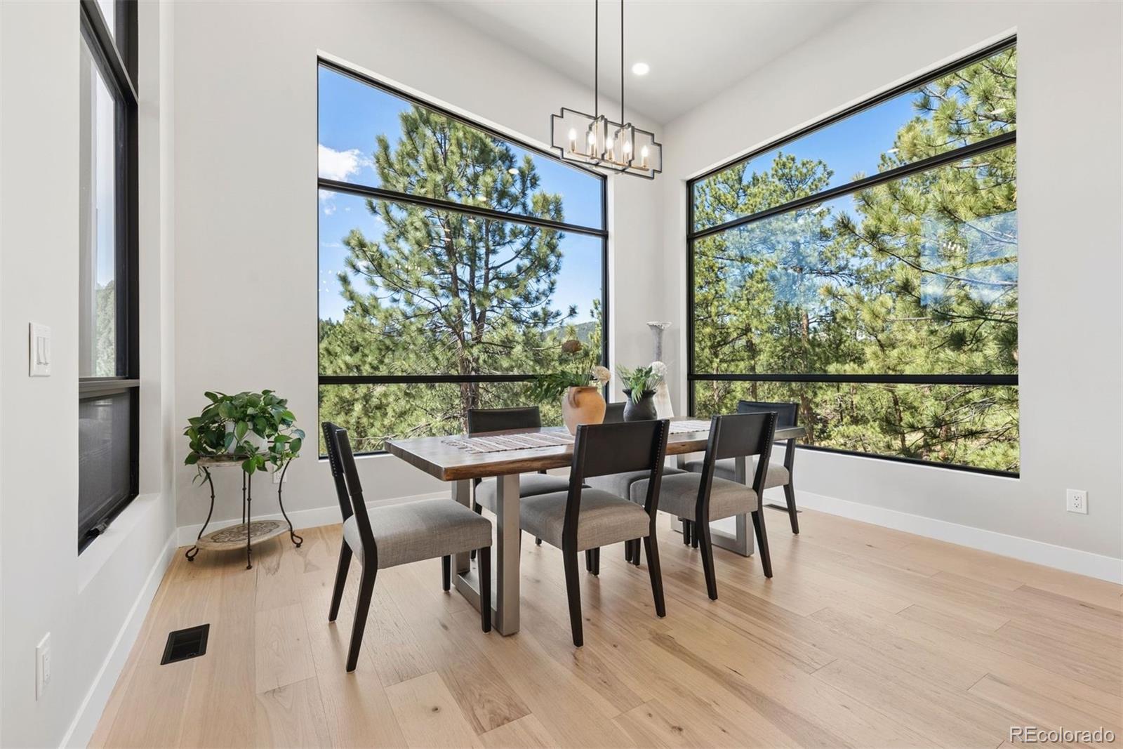MLS Image #19 for 28248  lone elk trail,evergreen, Colorado