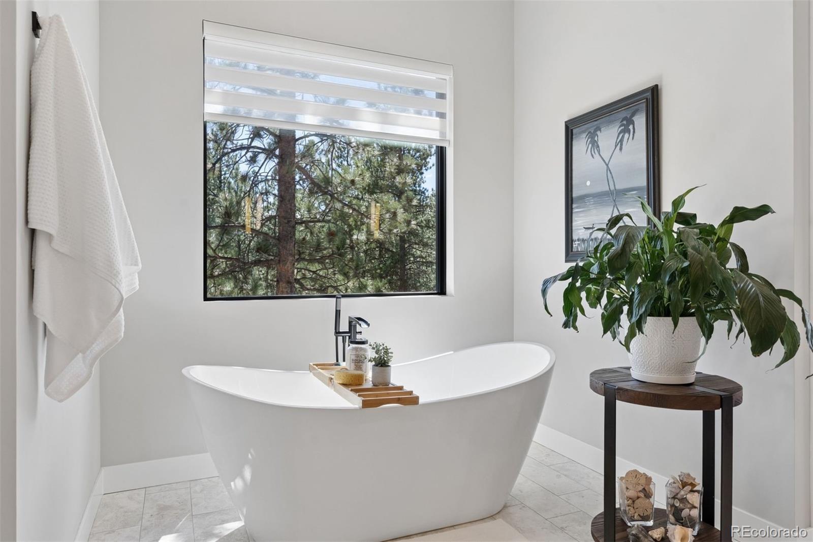 MLS Image #26 for 28248  lone elk trail,evergreen, Colorado