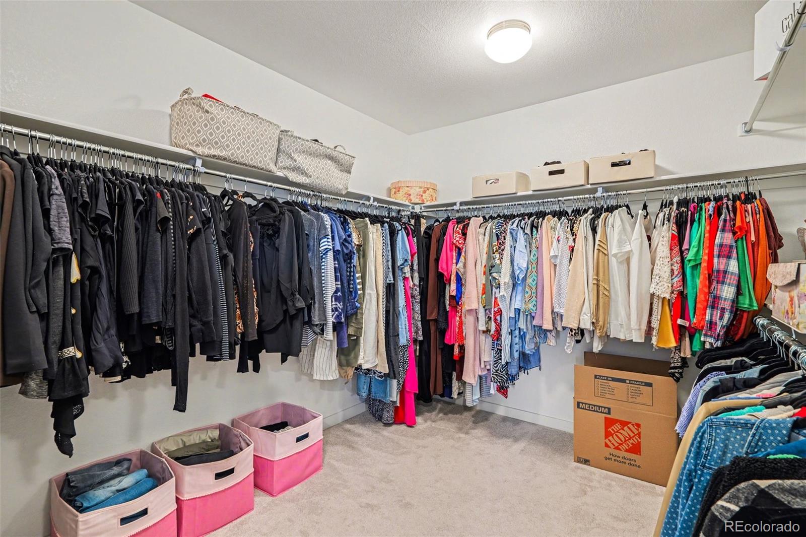 MLS Image #25 for 8420  bijou creek avenue,littleton, Colorado