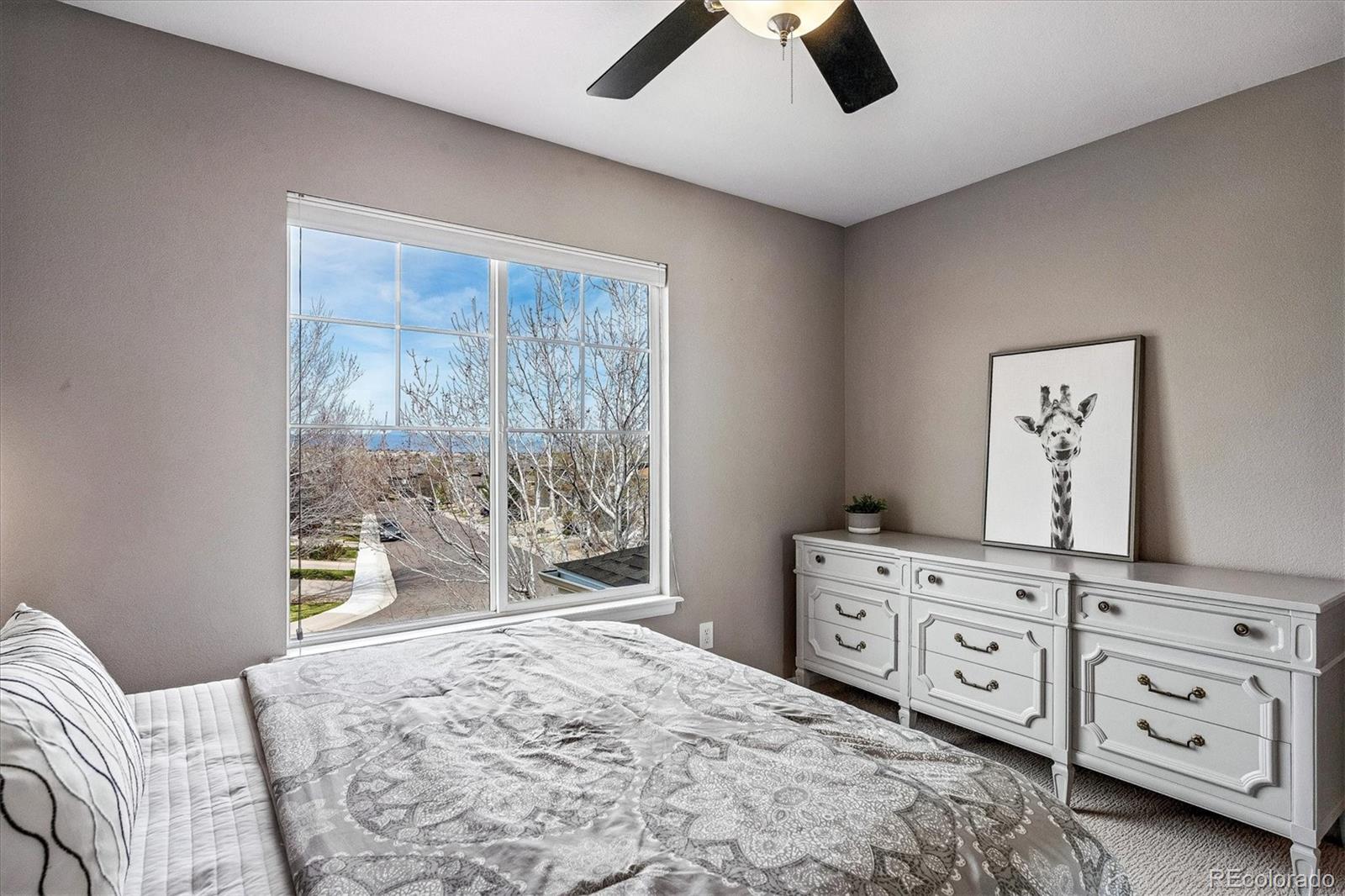 MLS Image #24 for 5444  fullerton circle,highlands ranch, Colorado