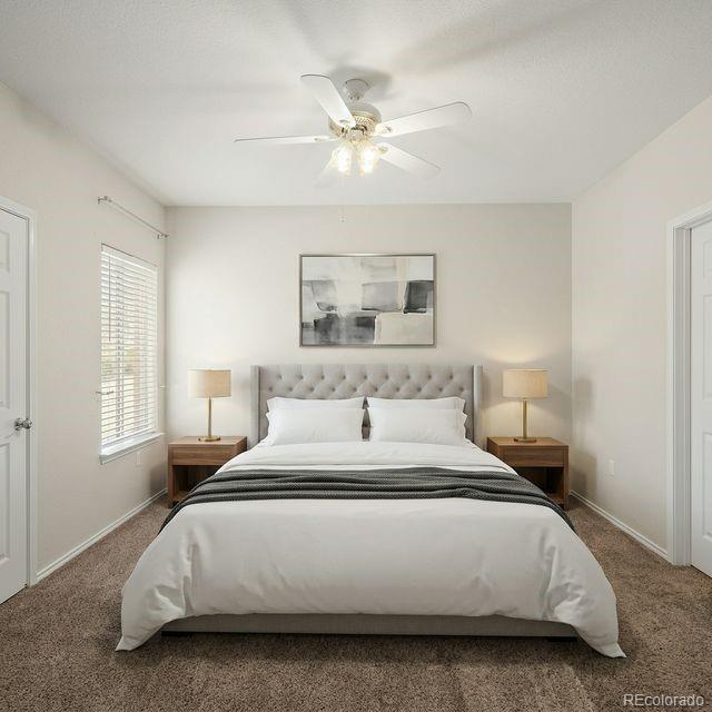 MLS Image #14 for 3780  riviera grove,colorado springs, Colorado