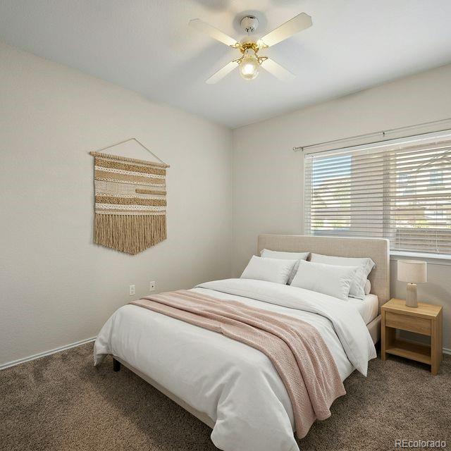 MLS Image #24 for 3780  riviera grove,colorado springs, Colorado