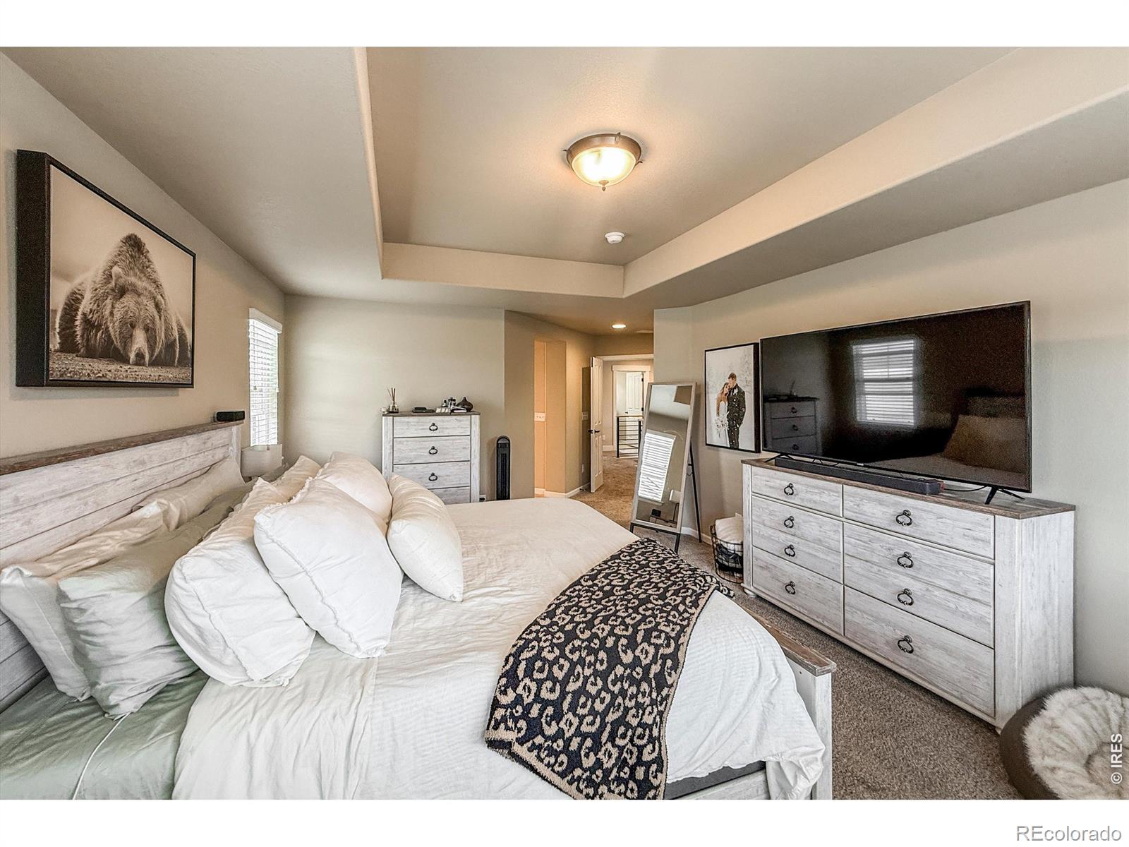MLS Image #23 for 915  snowy plain road,fort collins, Colorado
