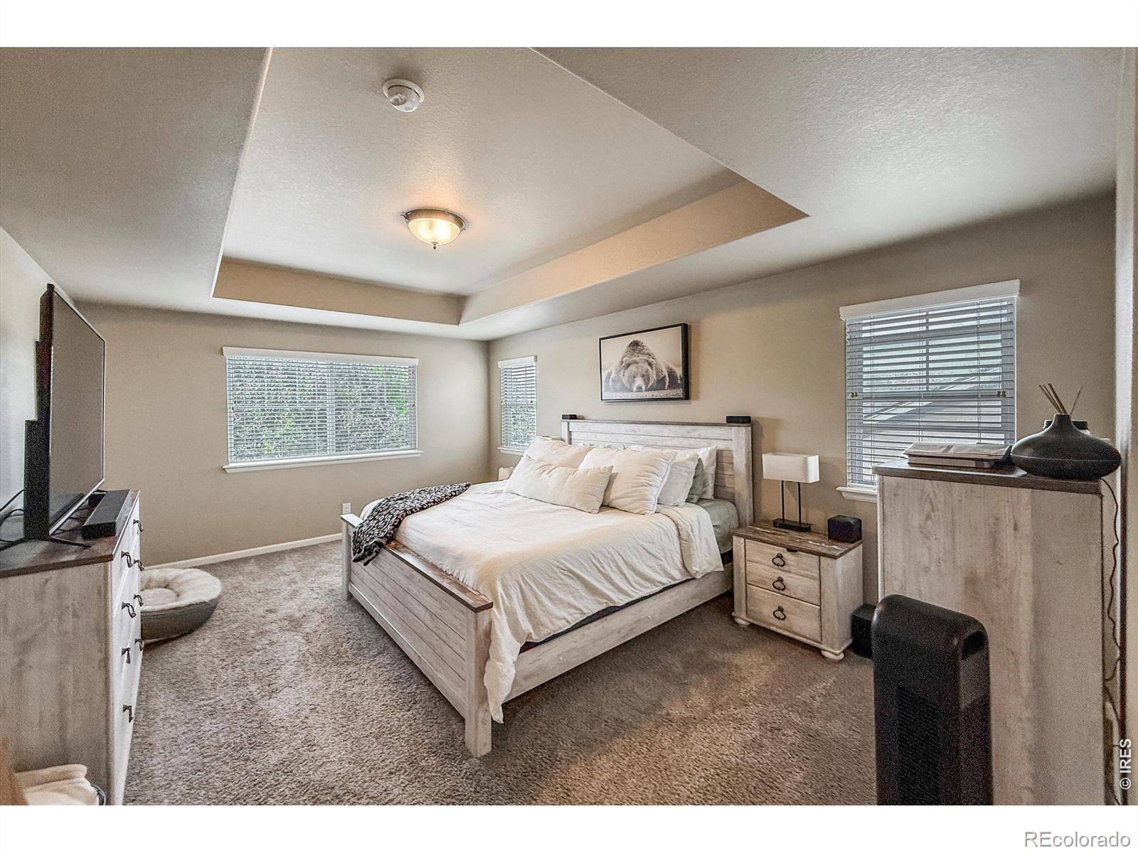 MLS Image #24 for 915  snowy plain road,fort collins, Colorado