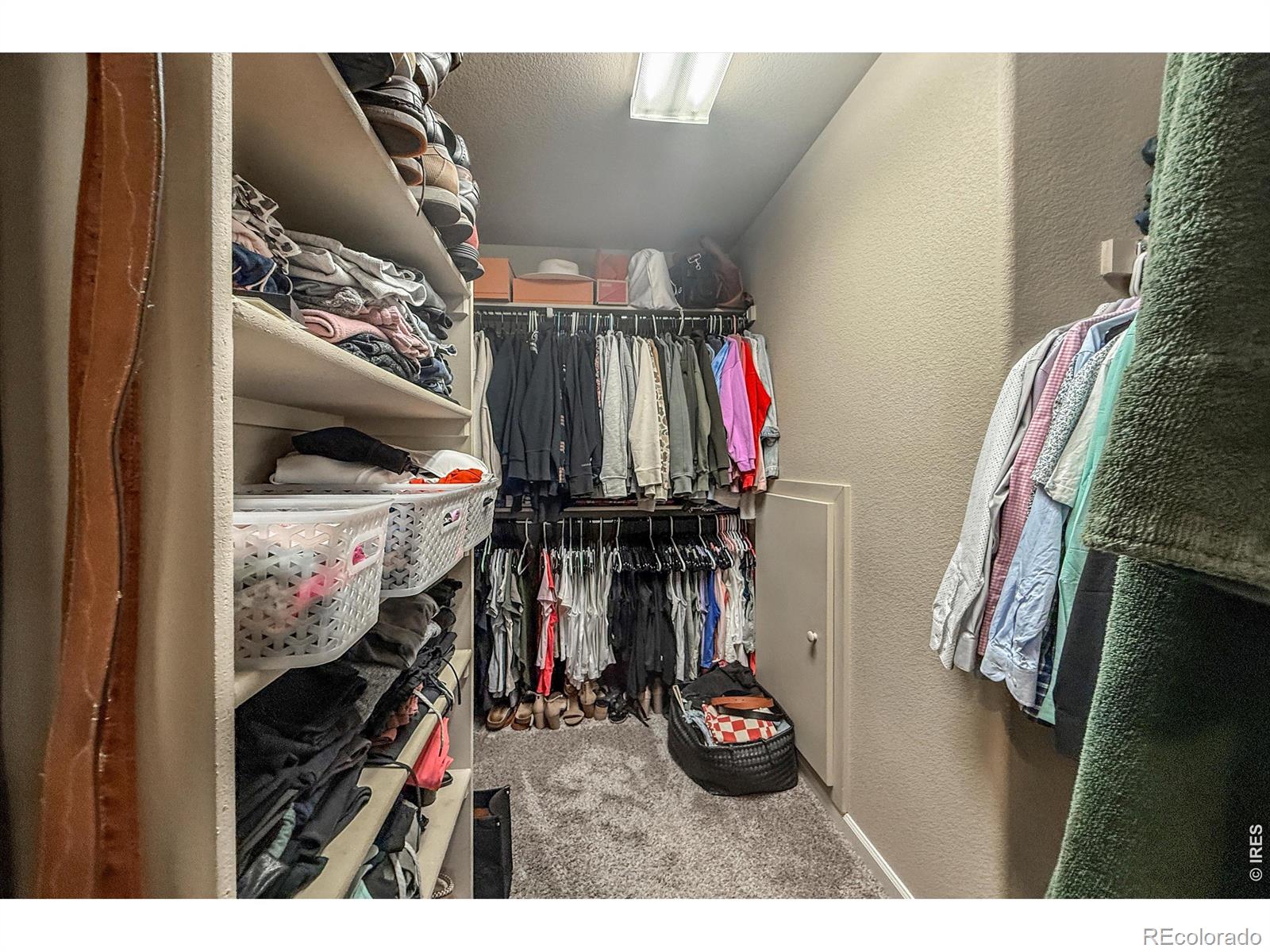 MLS Image #27 for 915  snowy plain road,fort collins, Colorado