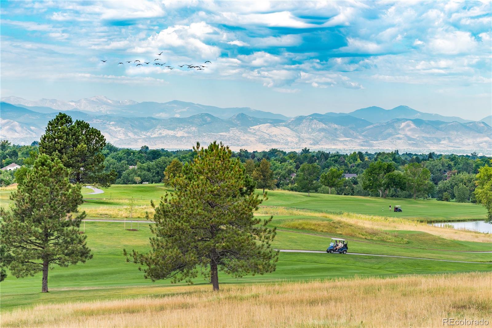MLS Image #48 for 4823 e links circle,centennial, Colorado