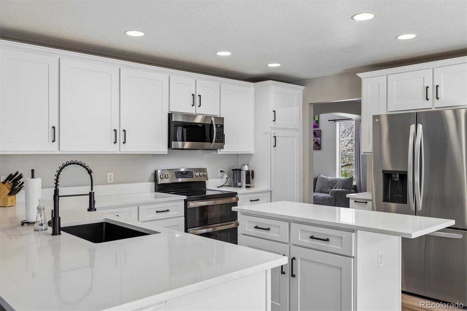 MLS Image #11 for 435  rose finch circle,highlands ranch, Colorado