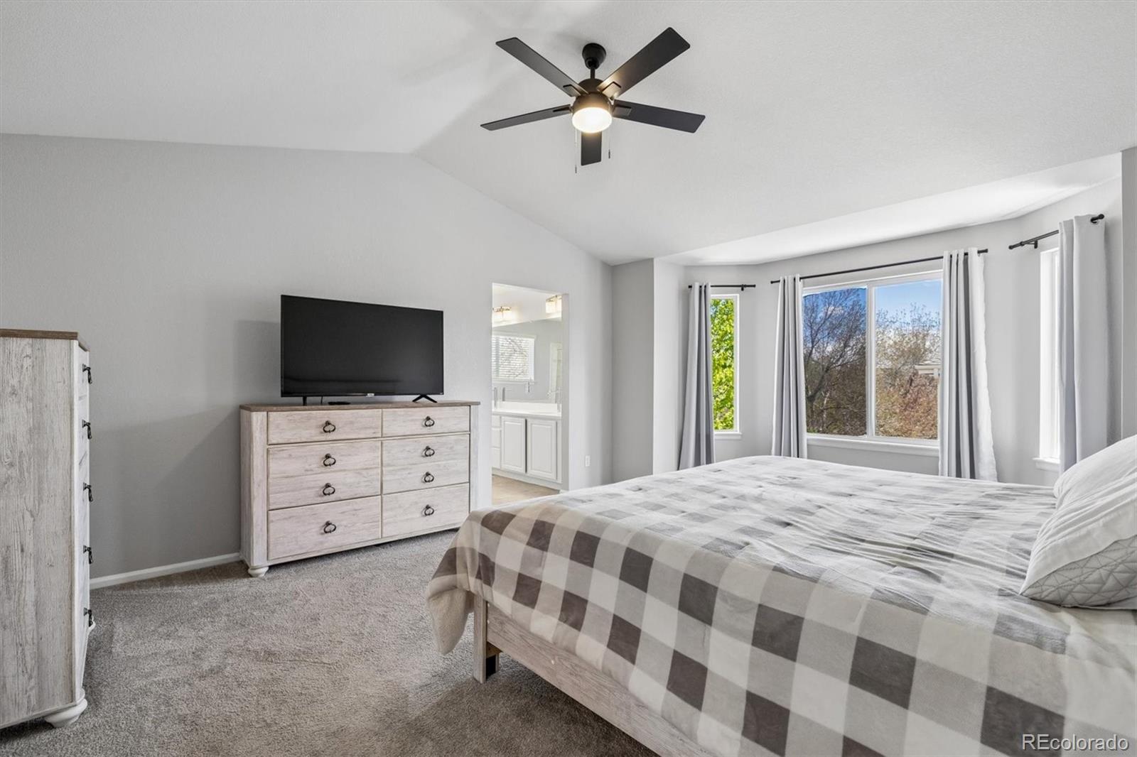 MLS Image #23 for 435  rose finch circle,highlands ranch, Colorado