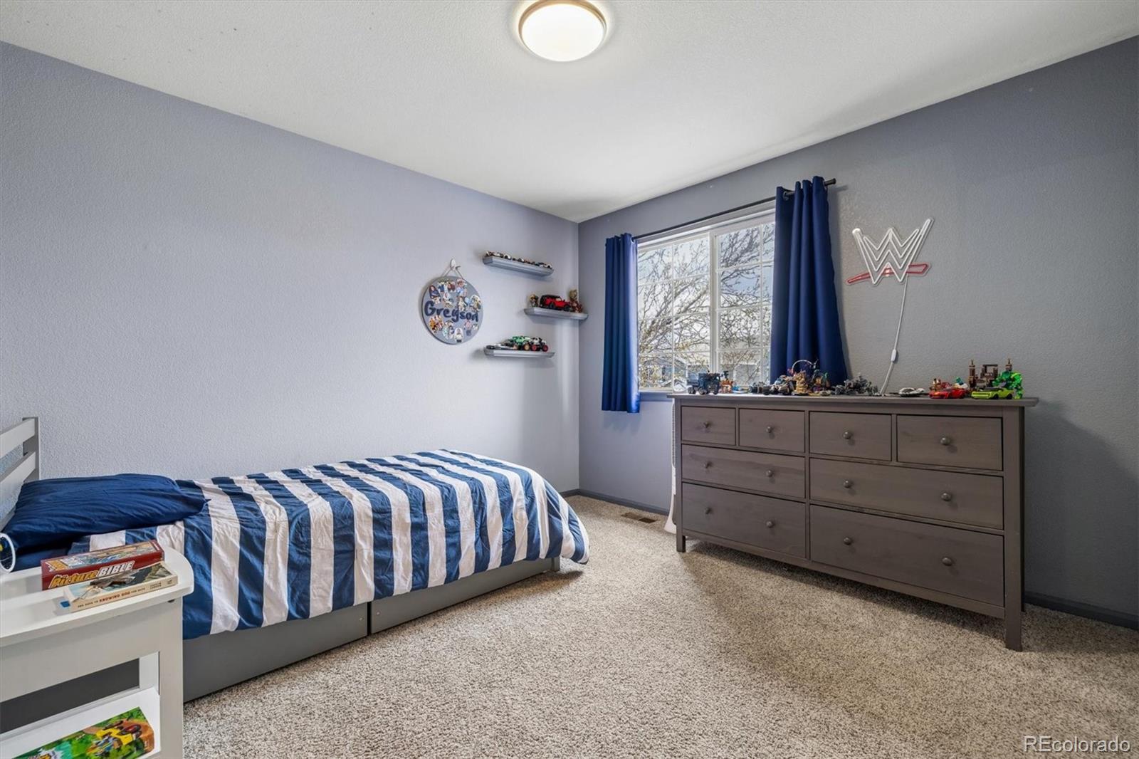 MLS Image #28 for 435  rose finch circle,highlands ranch, Colorado