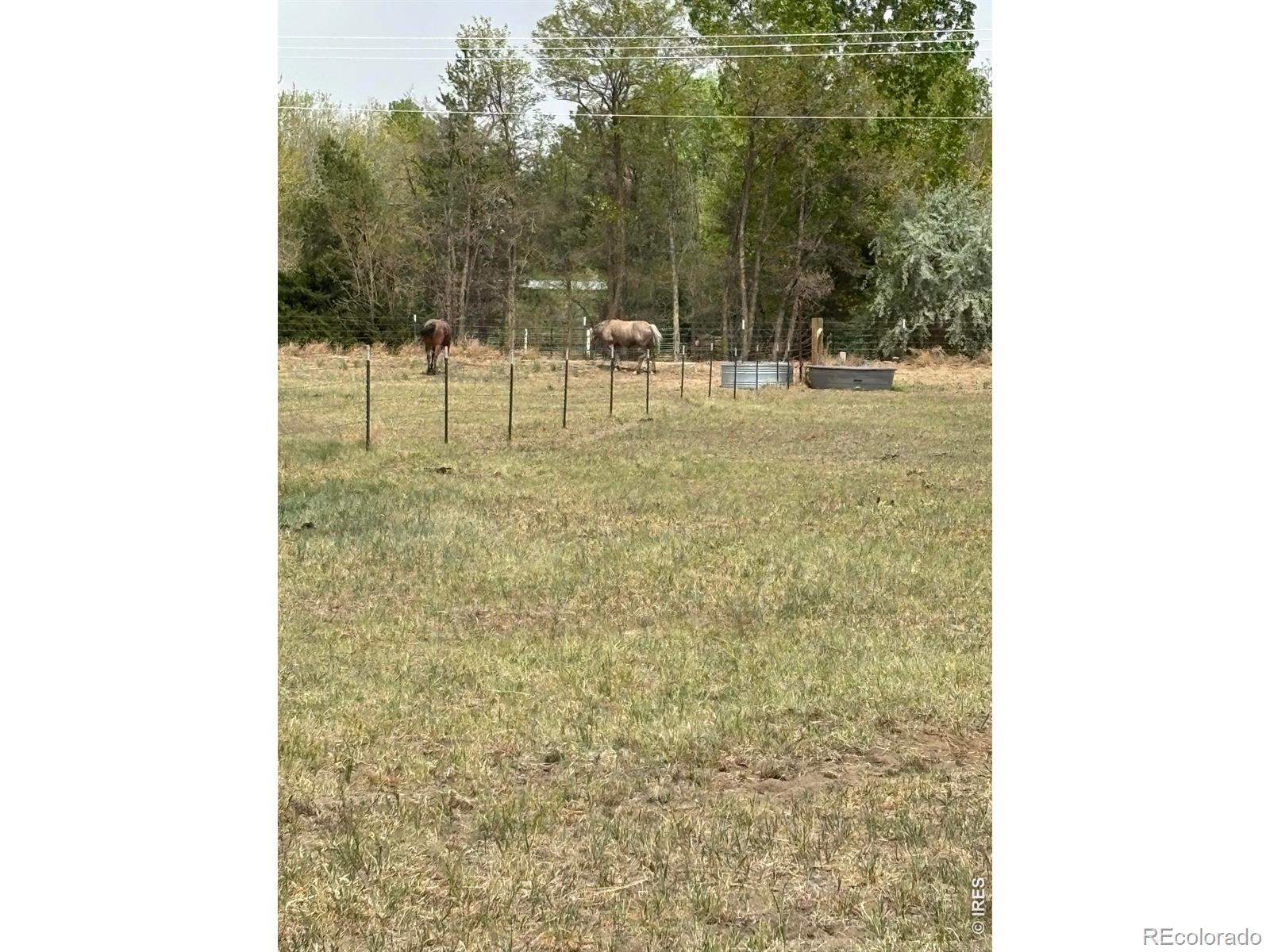 MLS Image #48 for 8626  county road 22 ,fort lupton, Colorado
