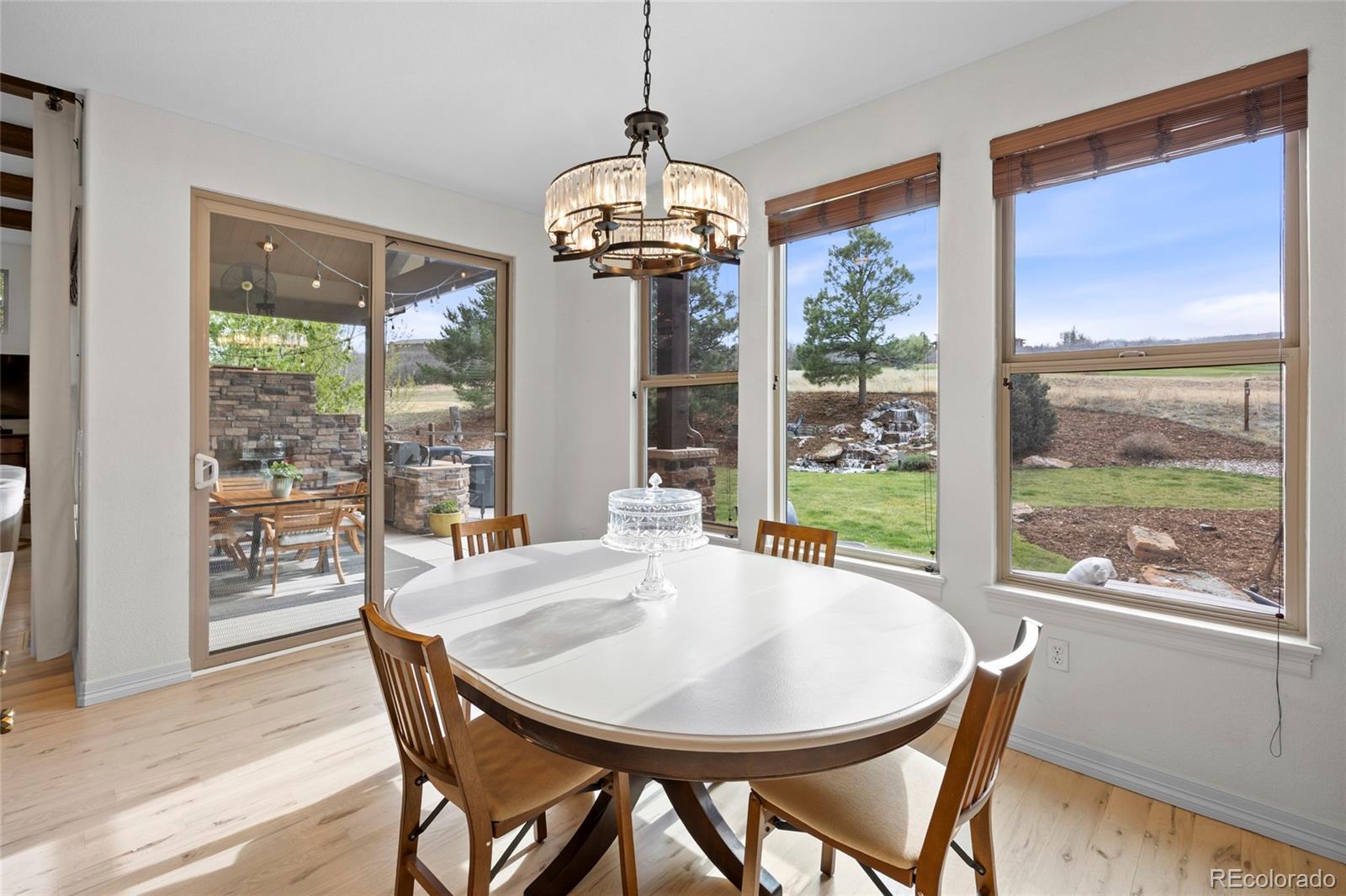 MLS Image #10 for 4598  carefree trail,parker, Colorado