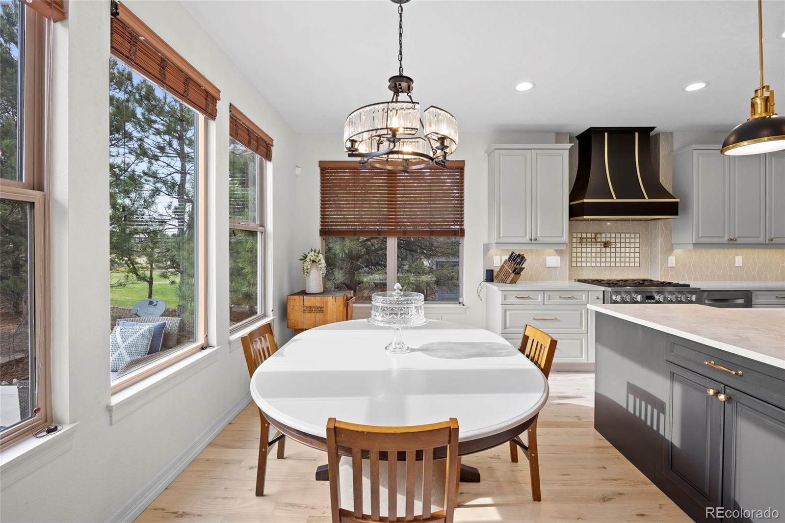 MLS Image #11 for 4598  carefree trail,parker, Colorado