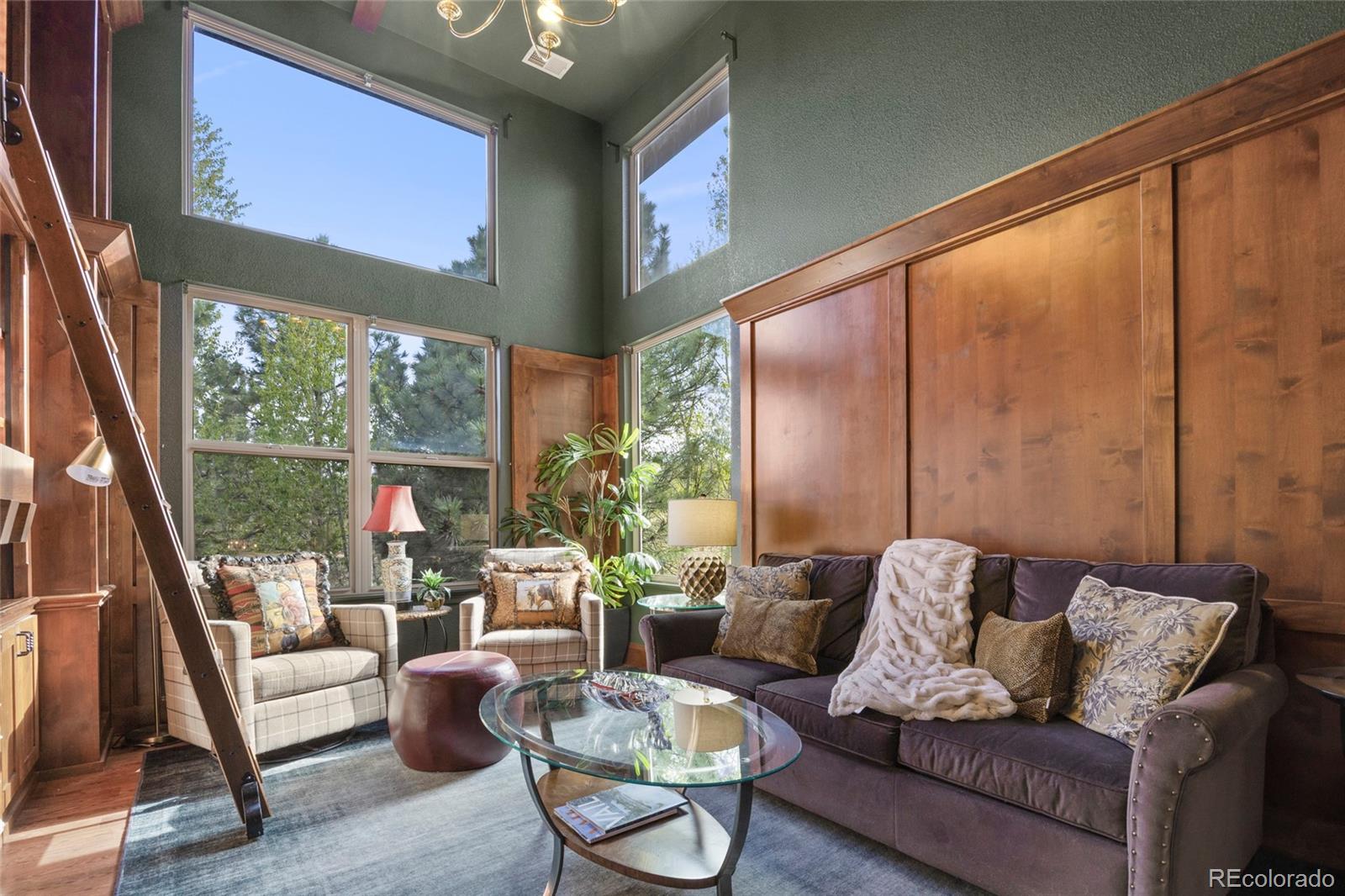 MLS Image #18 for 4598  carefree trail,parker, Colorado