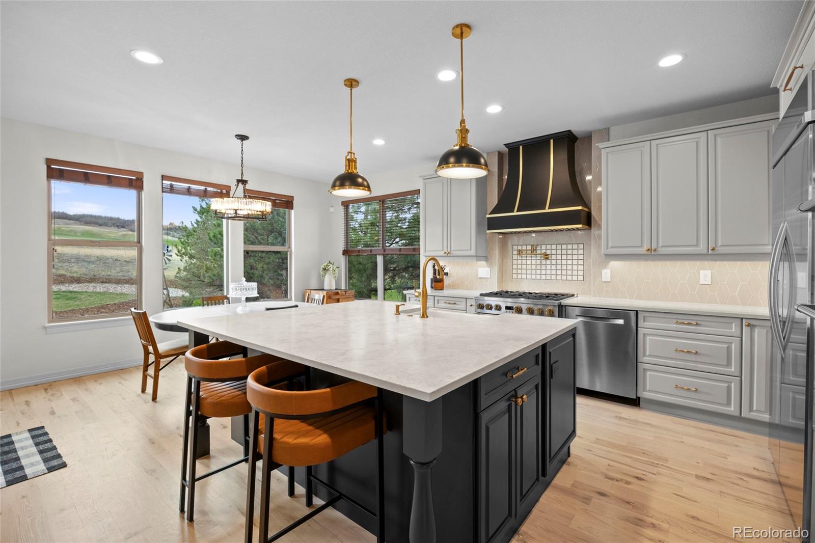 MLS Image #5 for 4598  carefree trail,parker, Colorado