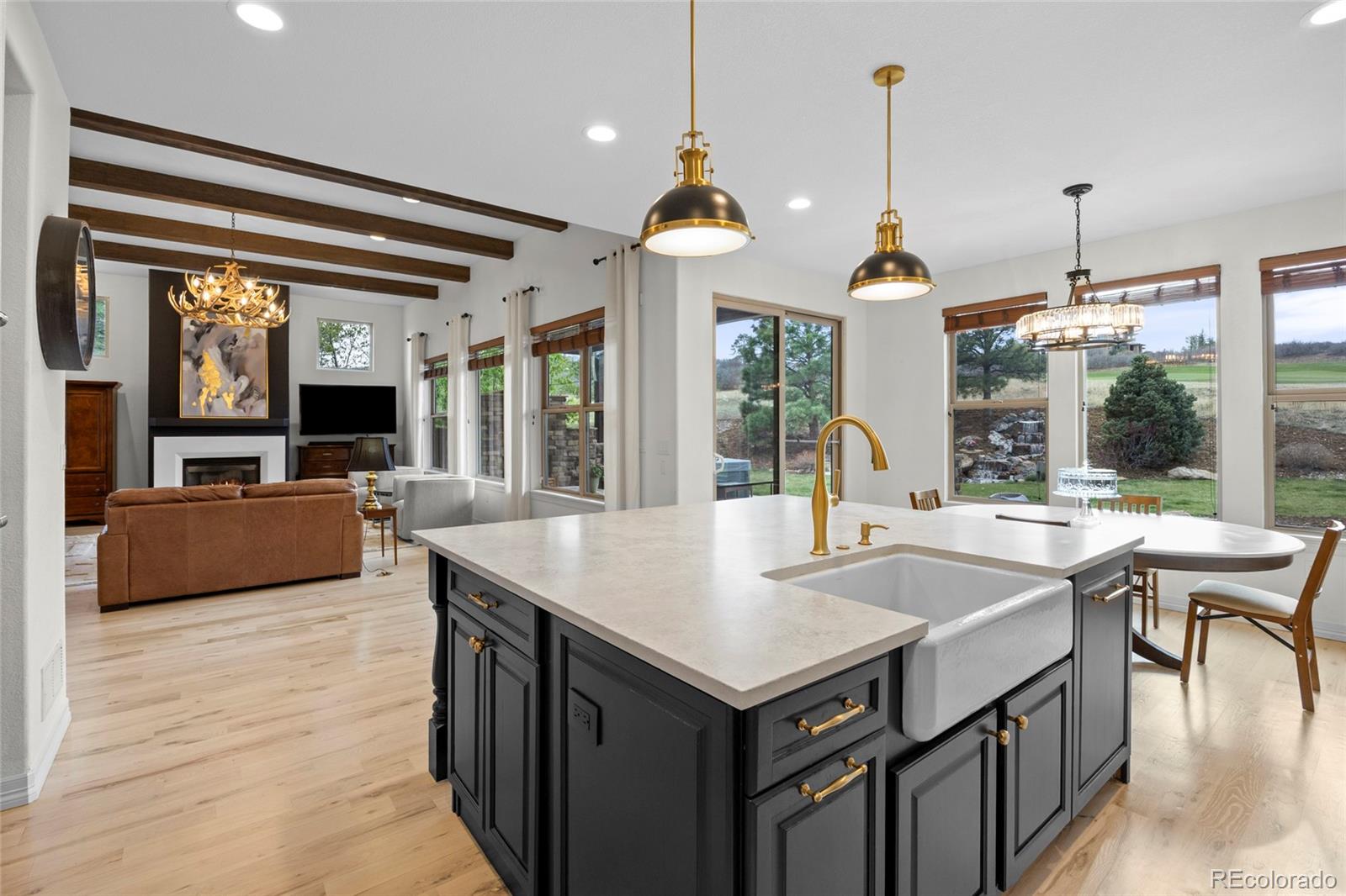 MLS Image #6 for 4598  carefree trail,parker, Colorado