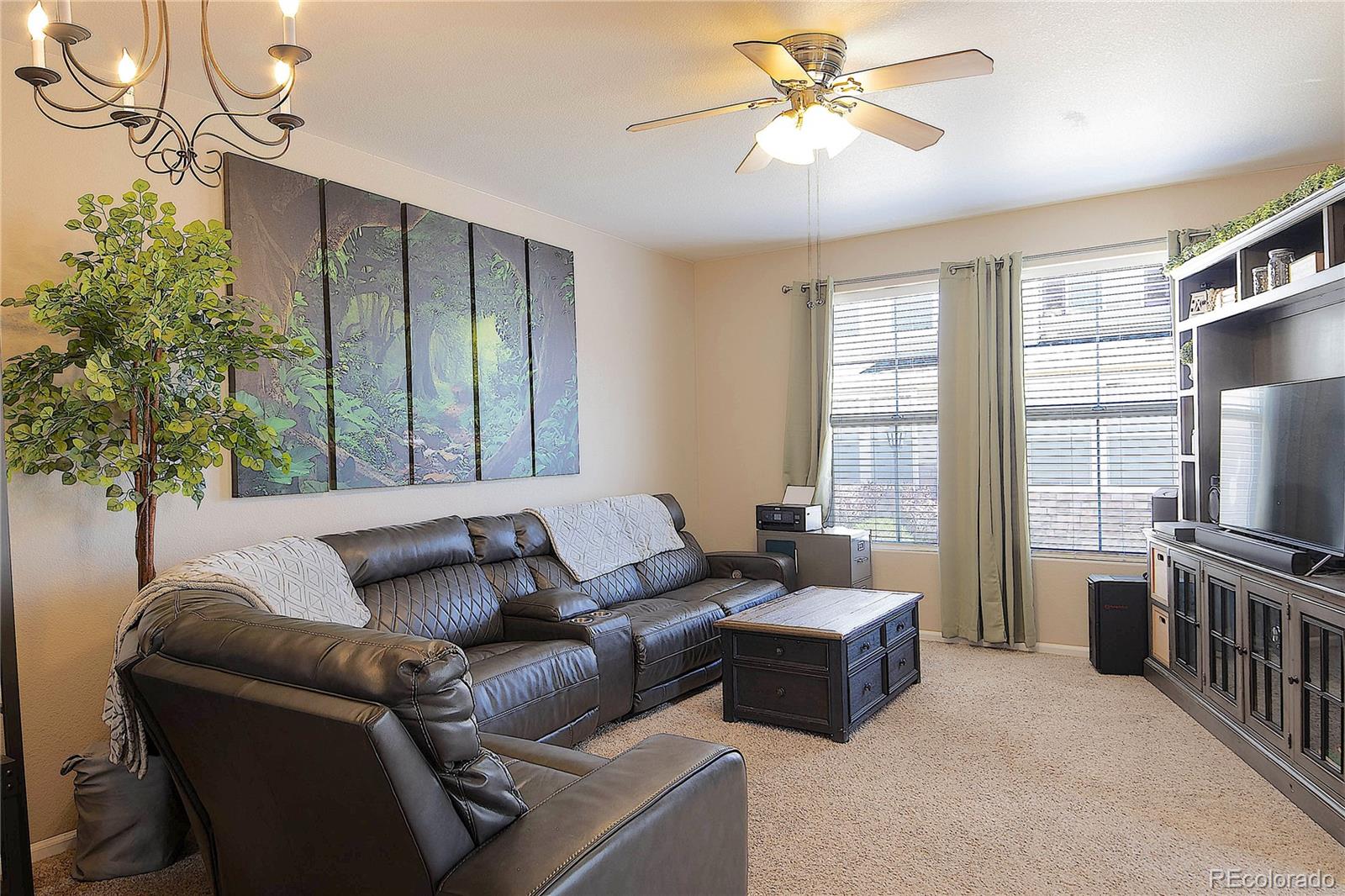 MLS Image #12 for 6244  sierra grande point,colorado springs, Colorado