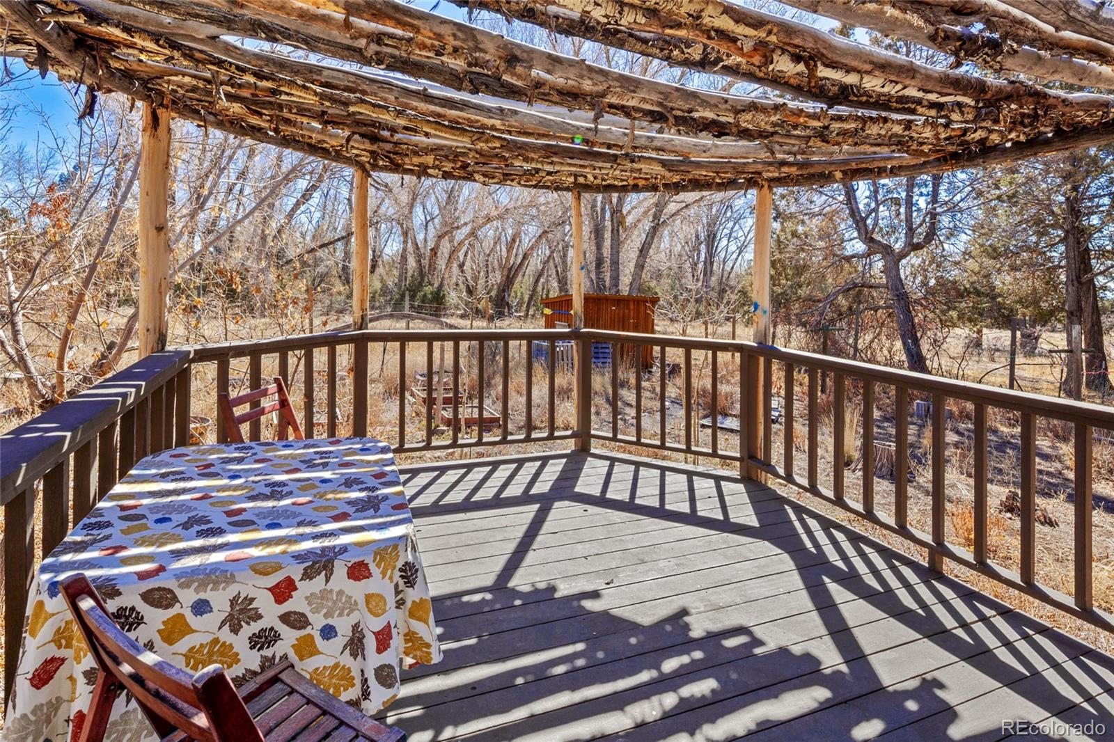 MLS Image #21 for 400 w galena ,crestone, Colorado