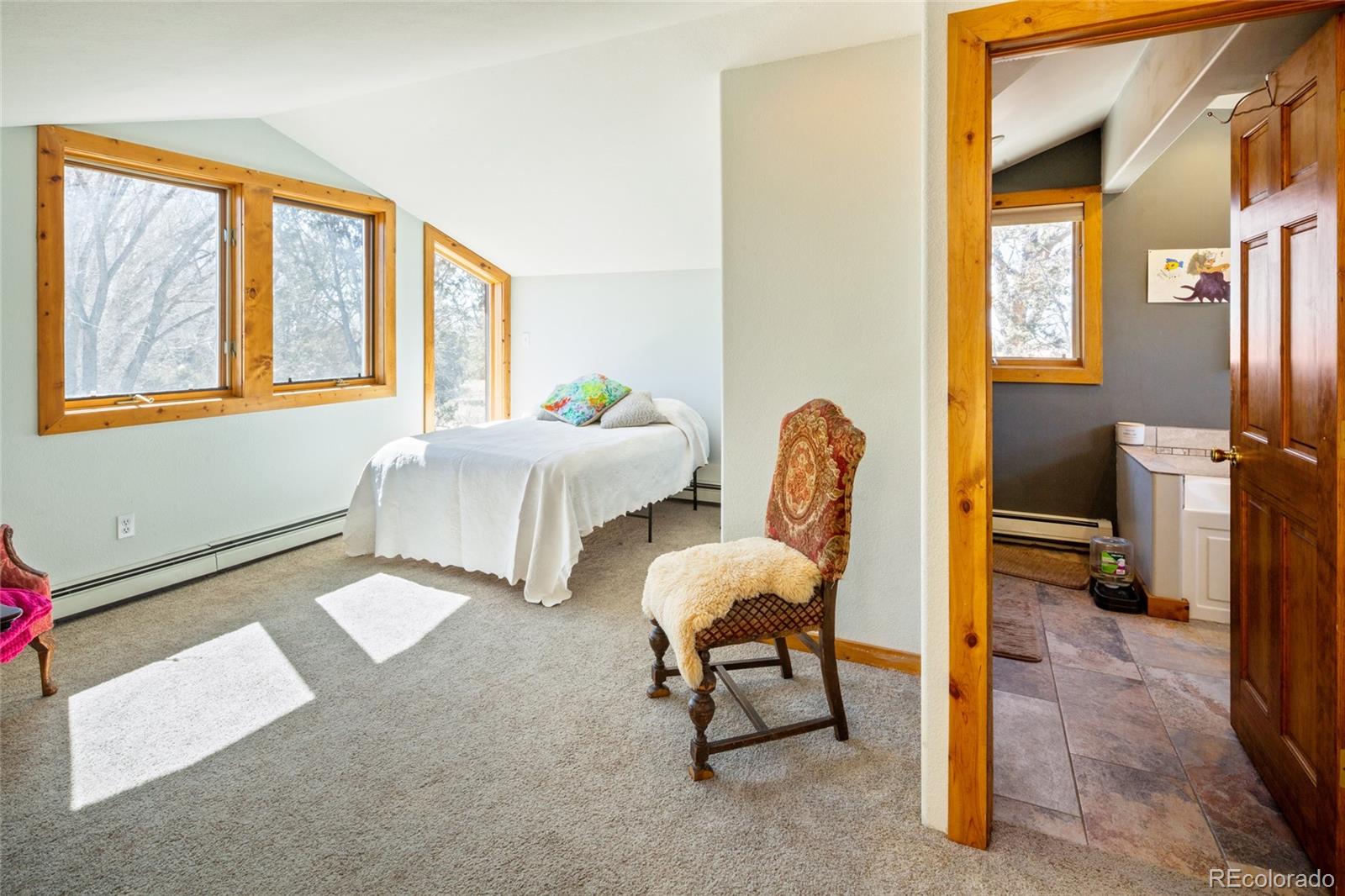 MLS Image #27 for 400 w galena ,crestone, Colorado