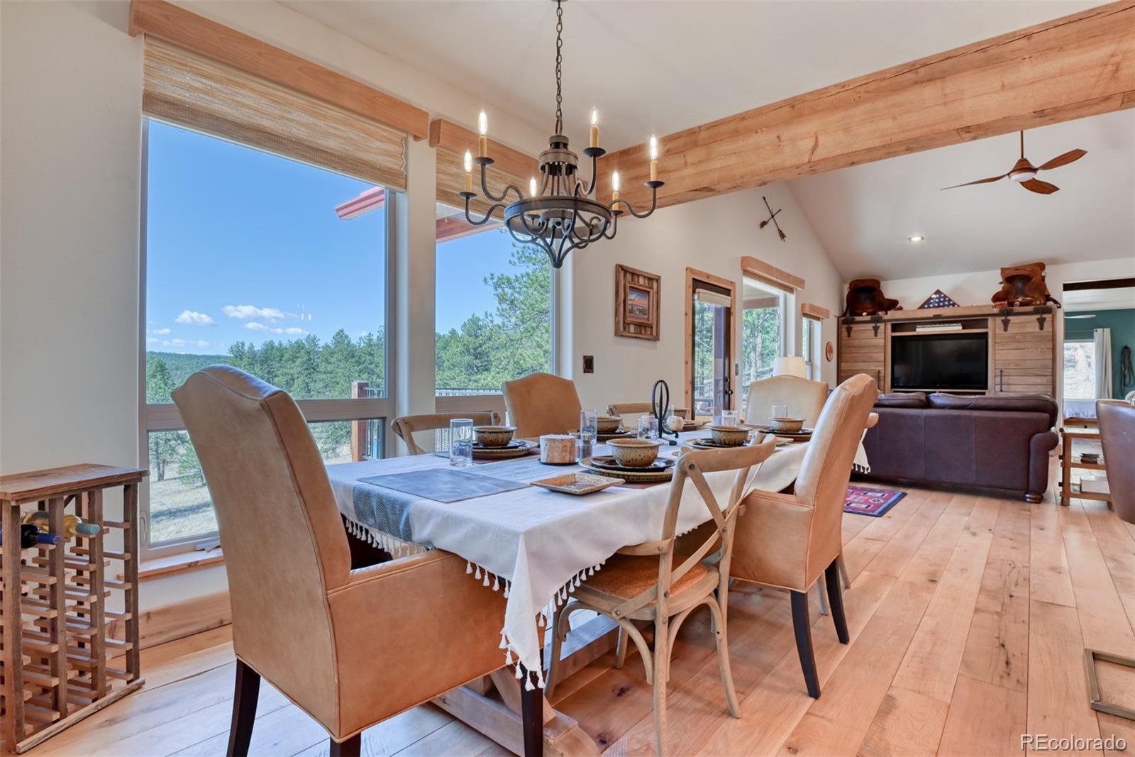 MLS Image #10 for 37081  county road 77 ,lake george, Colorado