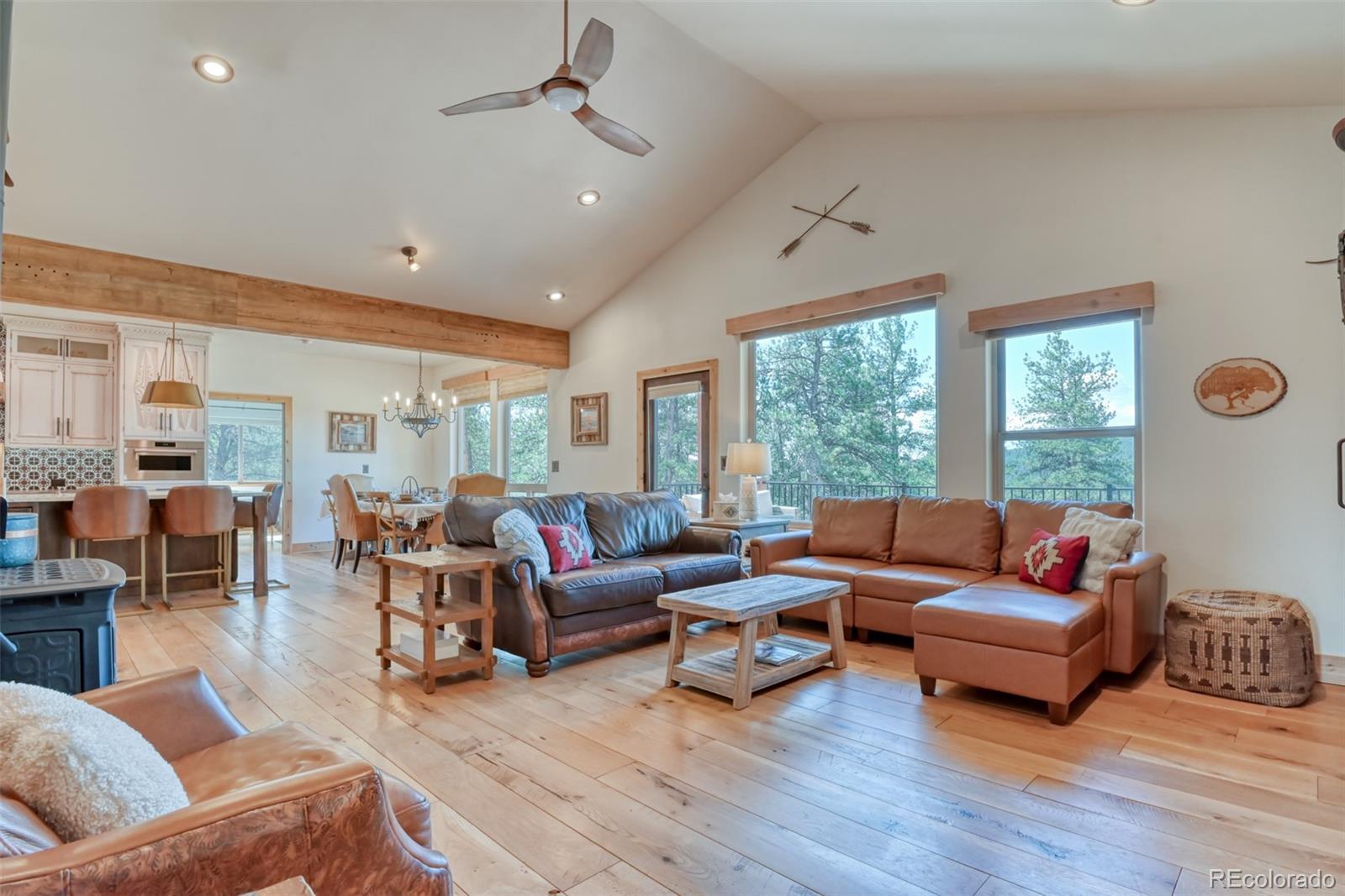 MLS Image #11 for 37081  county road 77 ,lake george, Colorado