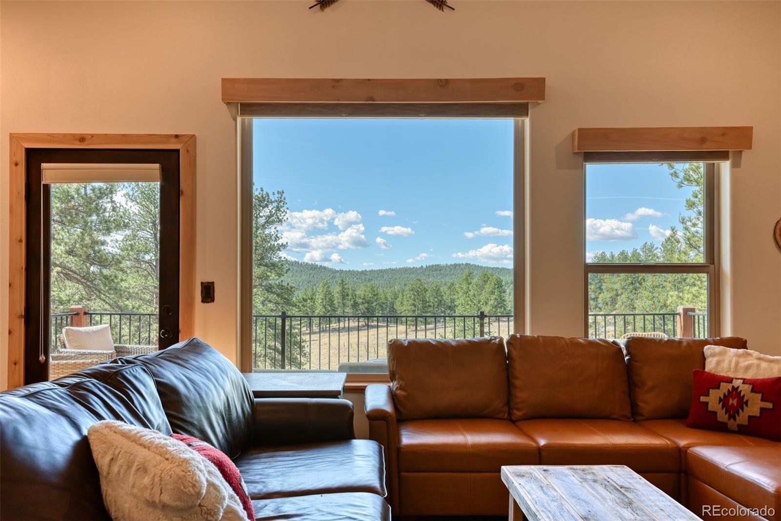 MLS Image #14 for 37081  county road 77 ,lake george, Colorado