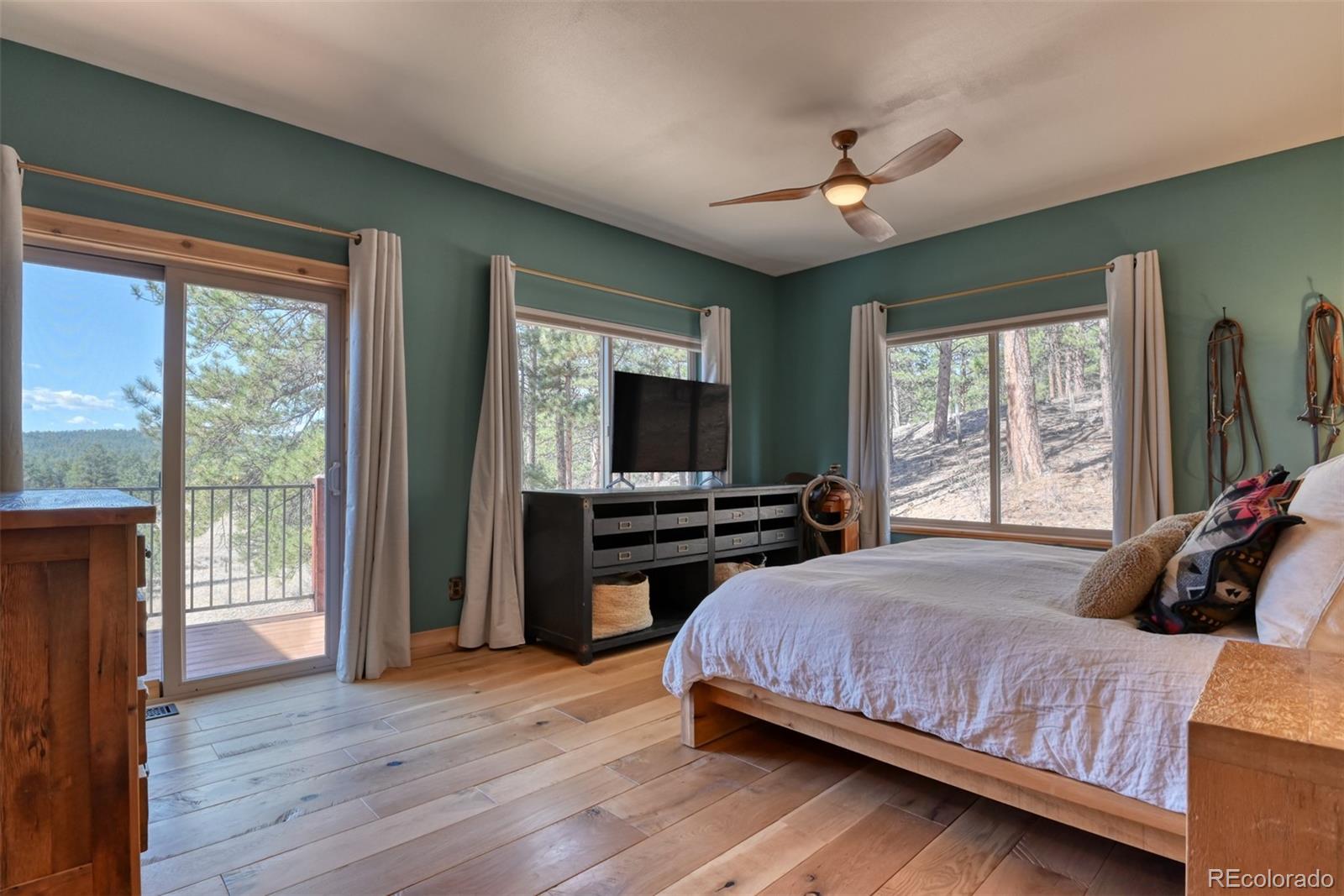 MLS Image #15 for 37081  county road 77 ,lake george, Colorado