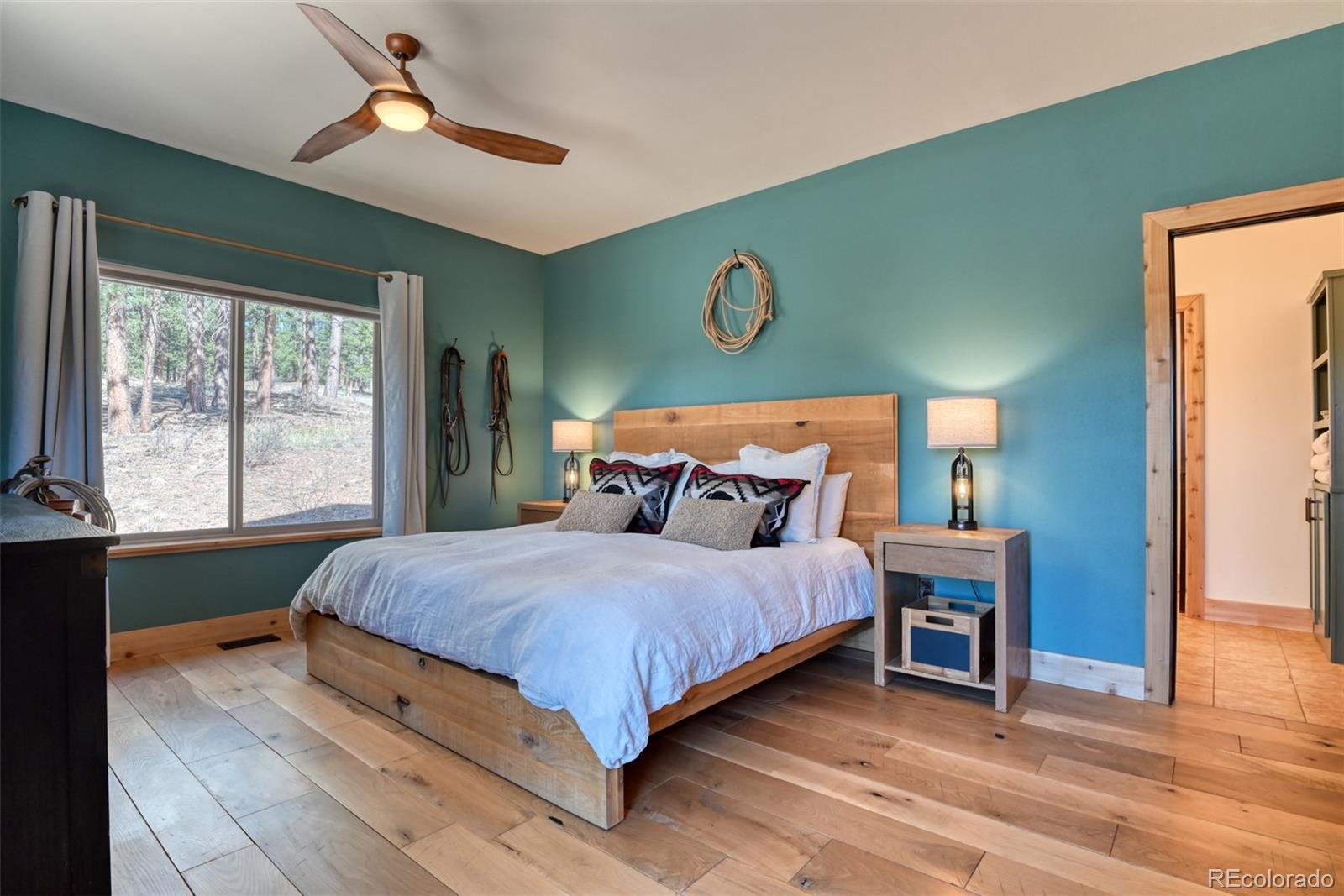 MLS Image #16 for 37081  county road 77 ,lake george, Colorado