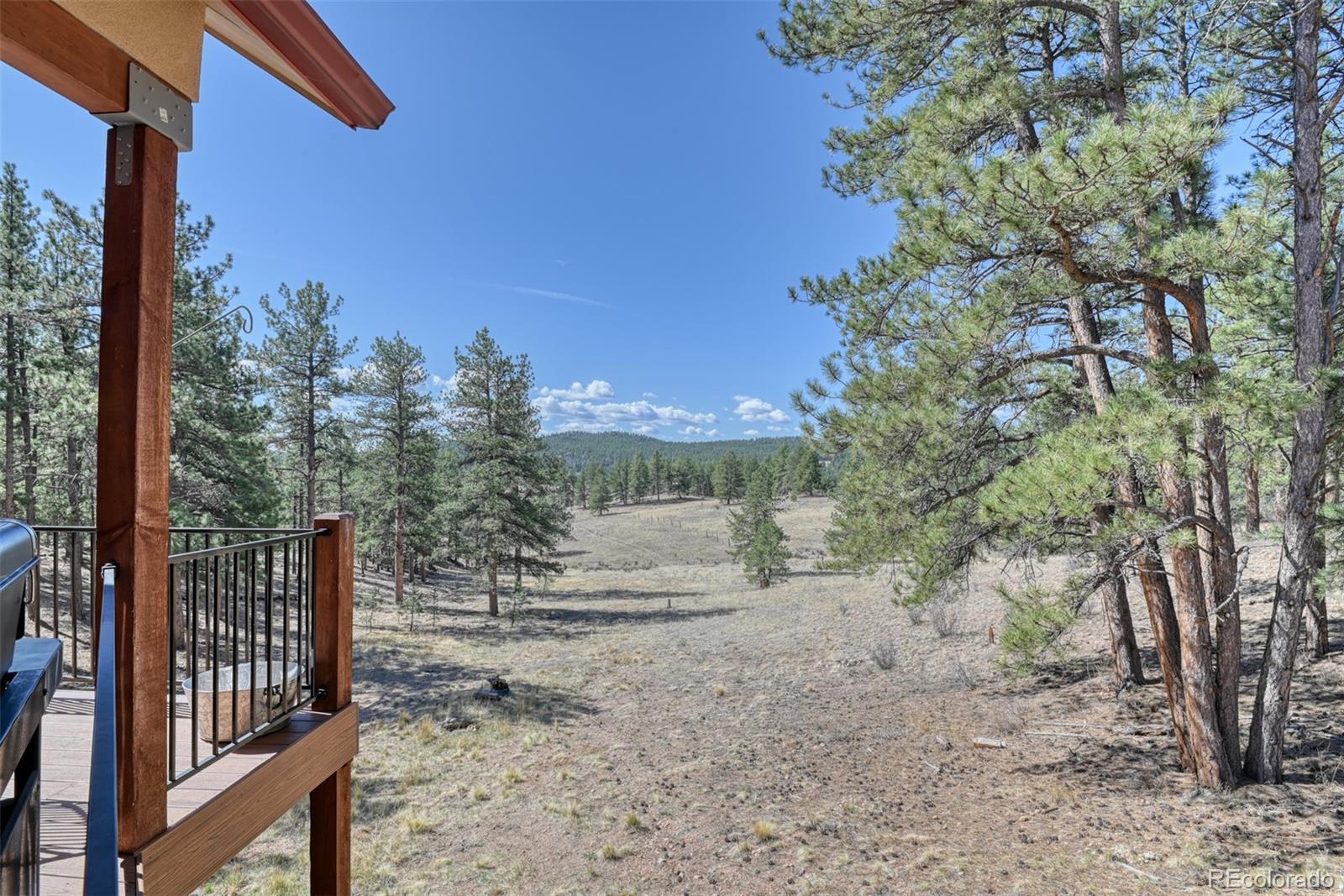 MLS Image #22 for 37081  county road 77 ,lake george, Colorado