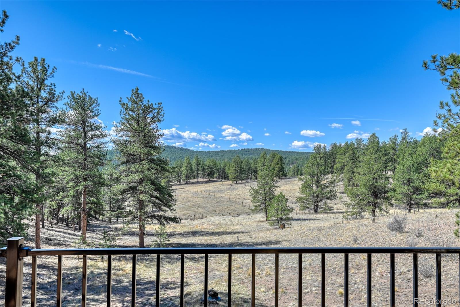 MLS Image #24 for 37081  county road 77 ,lake george, Colorado