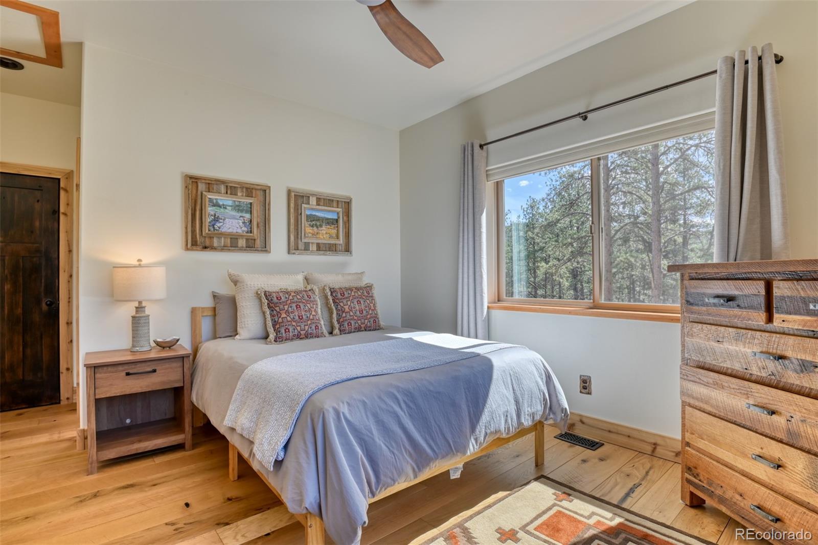 MLS Image #25 for 37081  county road 77 ,lake george, Colorado