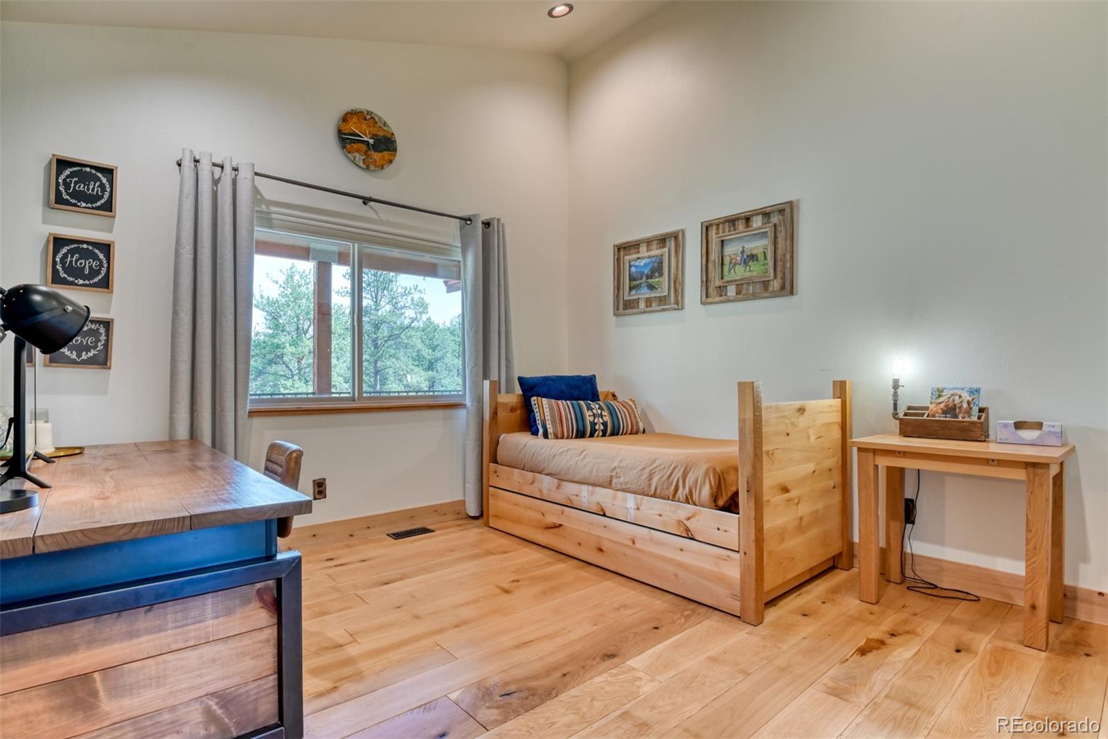 MLS Image #28 for 37081  county road 77 ,lake george, Colorado