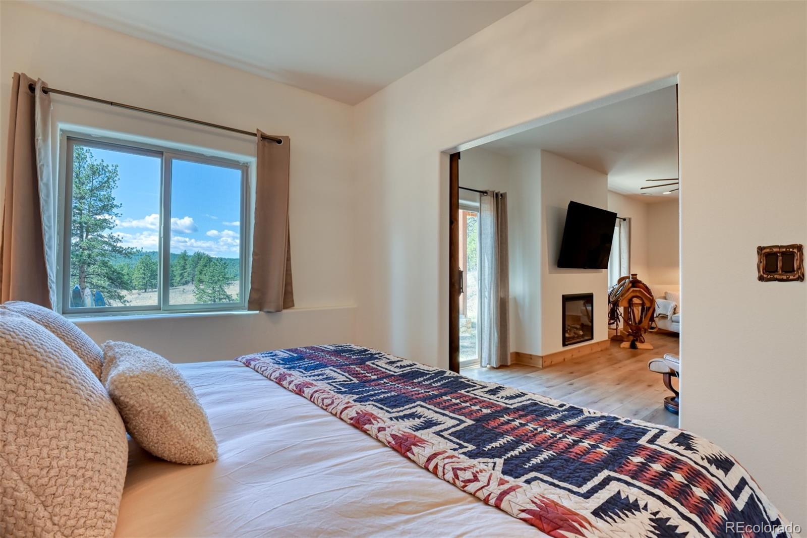 MLS Image #35 for 37081  county road 77 ,lake george, Colorado