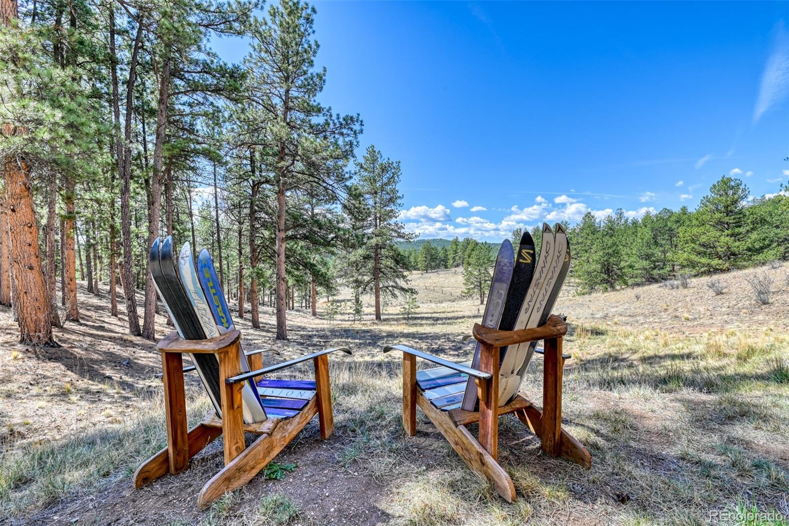 MLS Image #43 for 37081  county road 77 ,lake george, Colorado