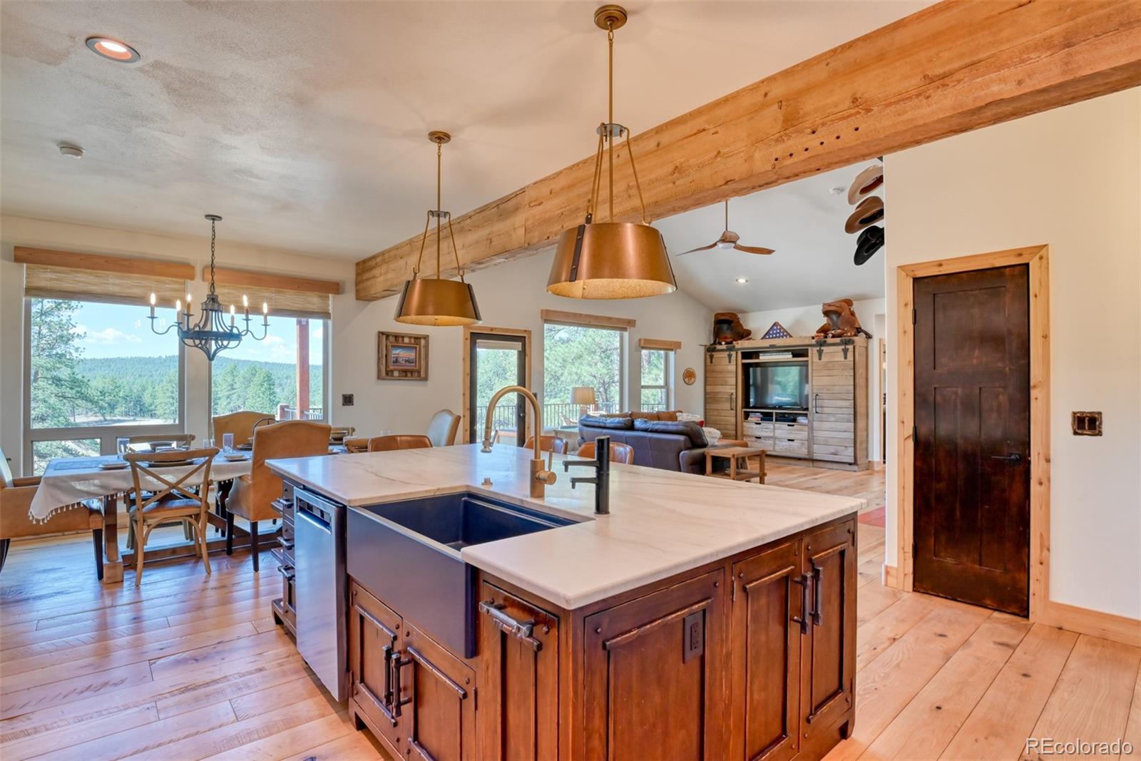 MLS Image #8 for 37081  county road 77 ,lake george, Colorado