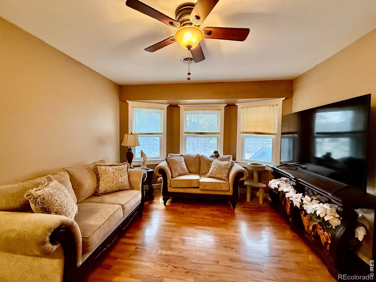 MLS Image #7 for 324 s bowman avenue,holyoke, Colorado