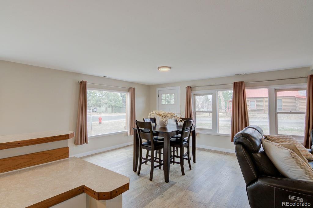 MLS Image #20 for 302  essex street,buena vista, Colorado