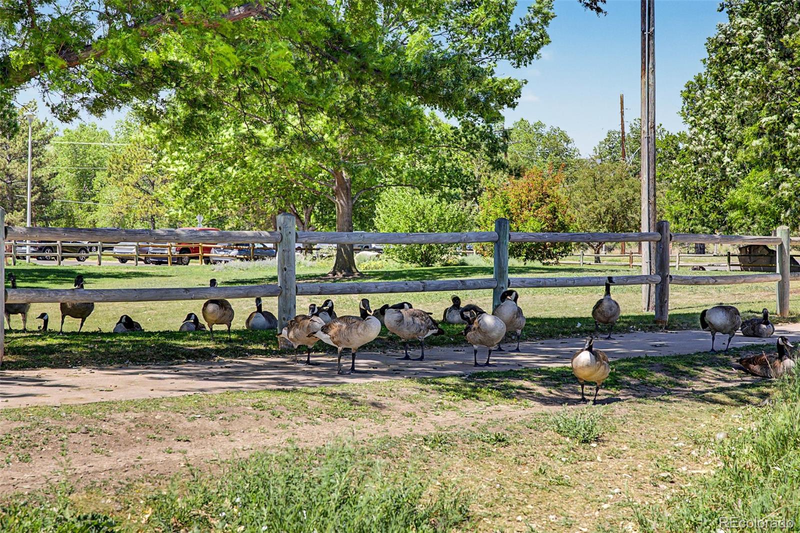 MLS Image #34 for 8952 w dartmouth place,lakewood, Colorado