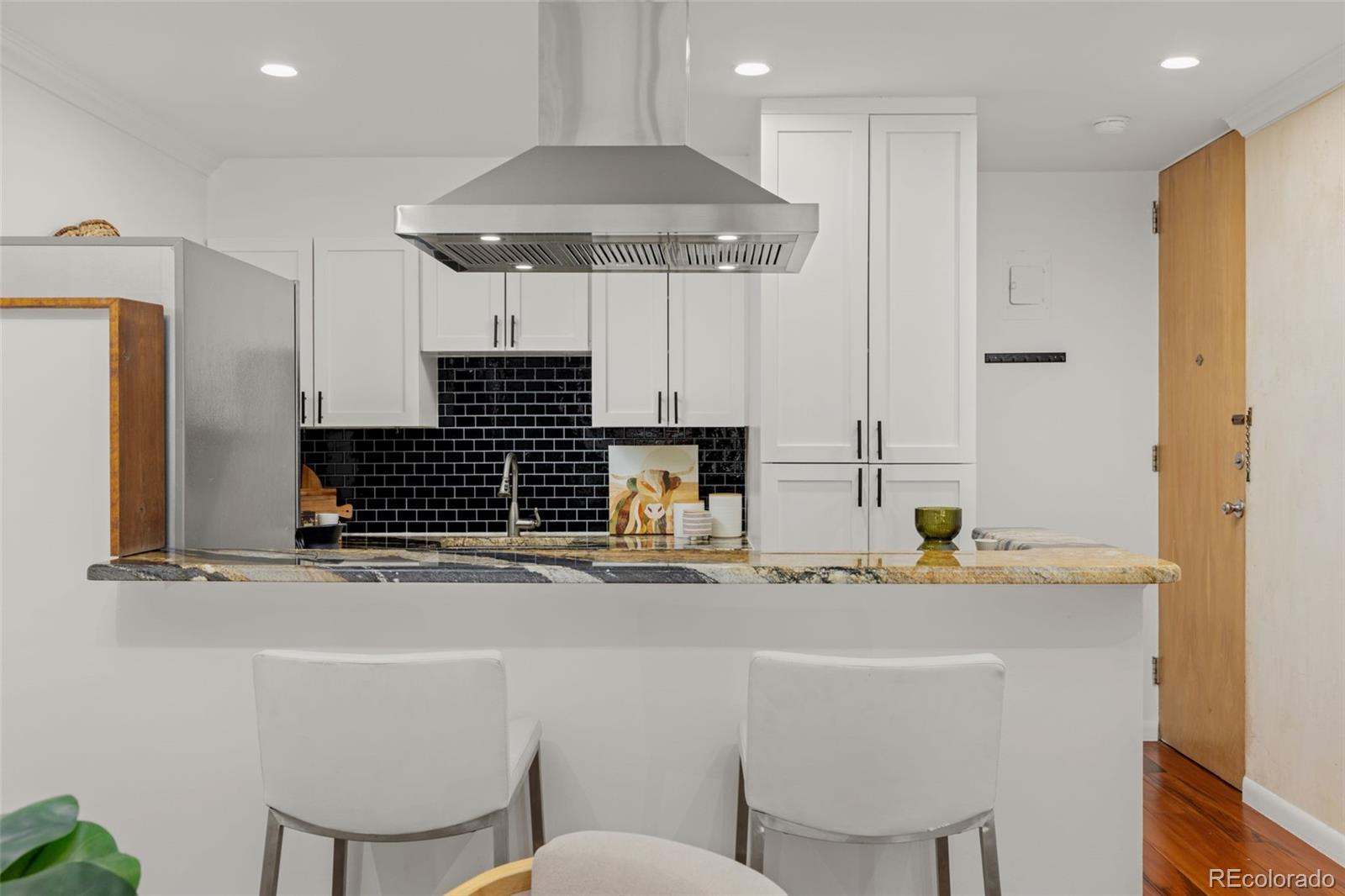 MLS Image #11 for 1050 n corona street,denver, Colorado