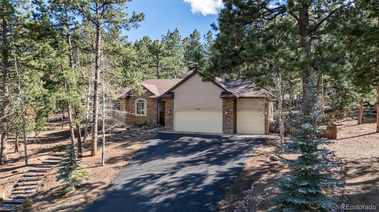 MLS Image #1 for 1185  karen lane,woodland park, Colorado