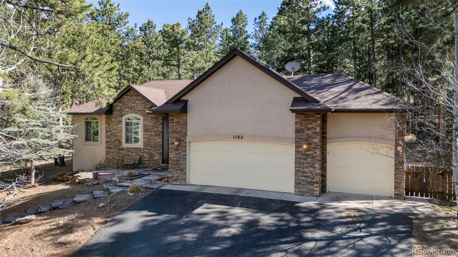 MLS Image #2 for 1185  karen lane,woodland park, Colorado