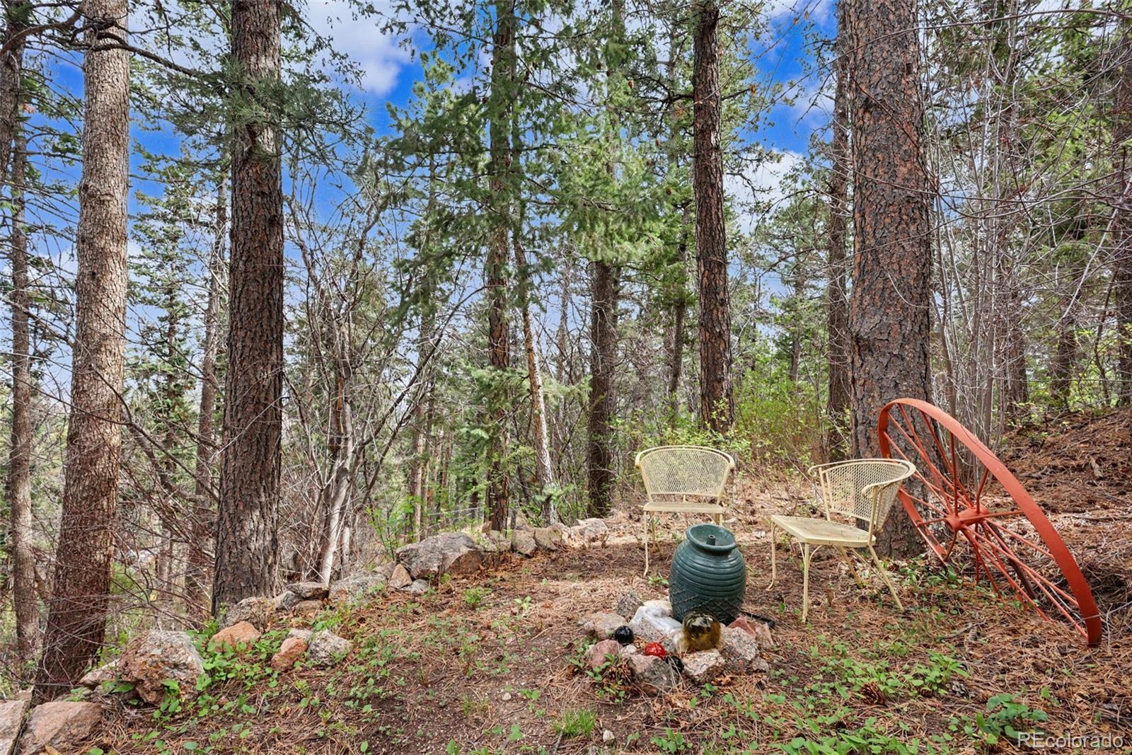 MLS Image #38 for 3875  overlook road,colorado springs, Colorado