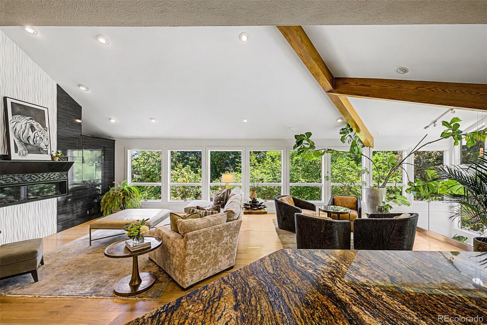 MLS Image #6 for 5835 s franklin court,greenwood village, Colorado
