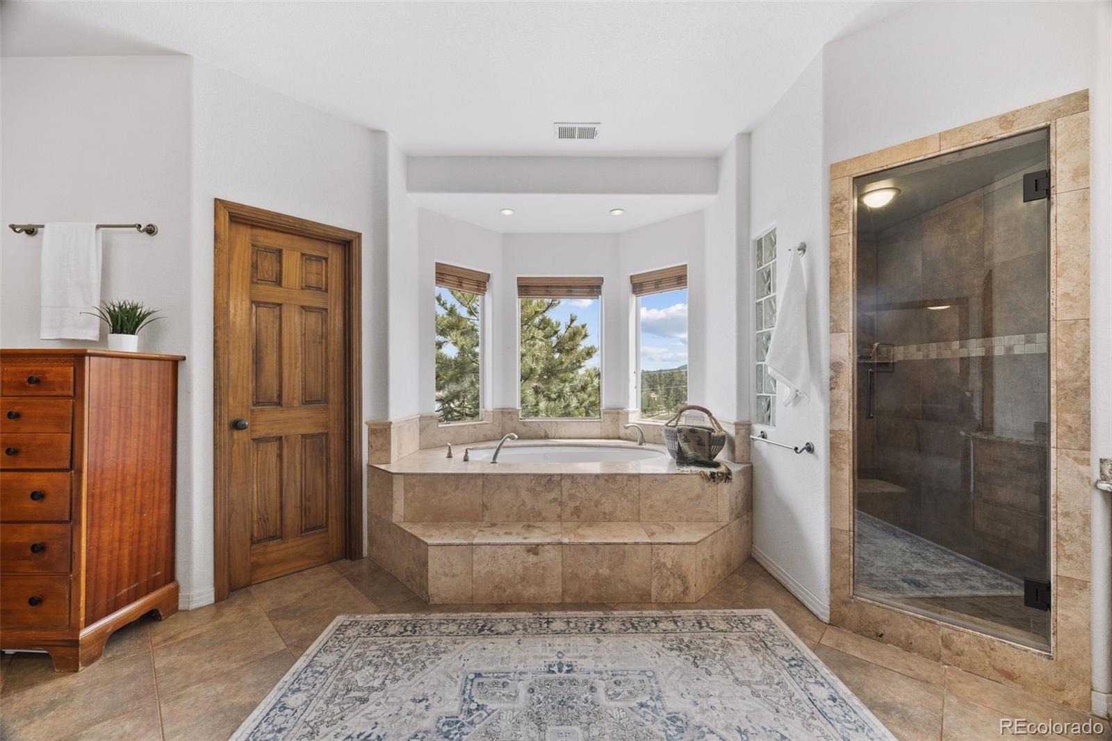 MLS Image #16 for 29697  gigi road,evergreen, Colorado