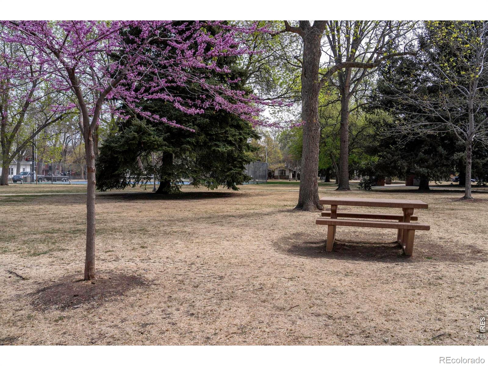 MLS Image #34 for 295  gray jay court,berthoud, Colorado