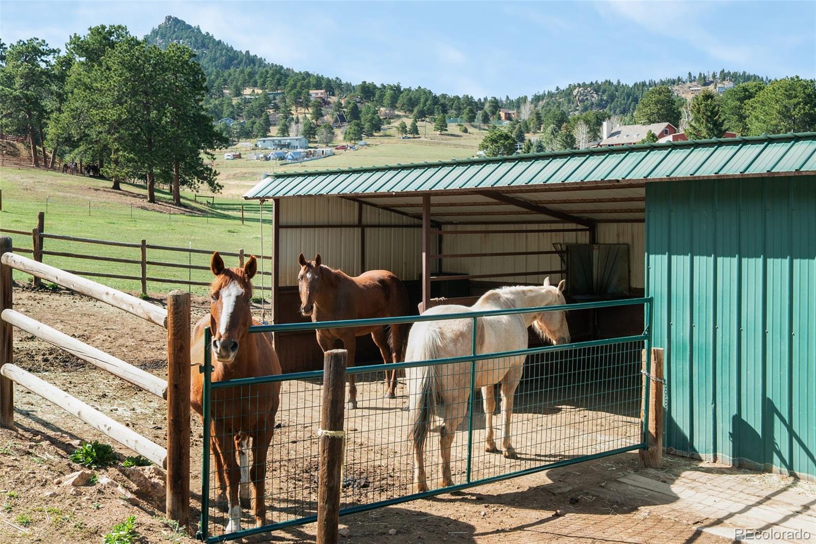 MLS Image #24 for 6686  high drive,morrison, Colorado