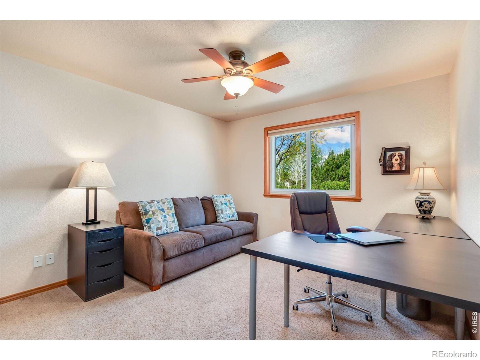 MLS Image #22 for 2177  burbank street,berthoud, Colorado